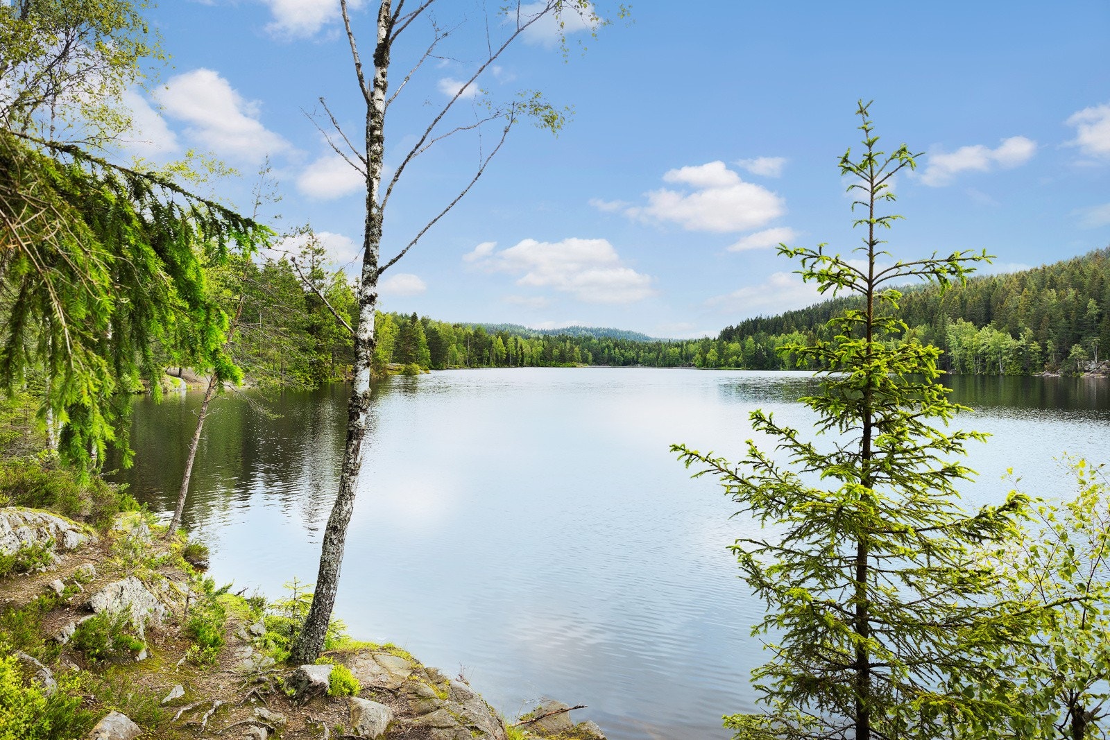 Steinbruvannet og badedammen er groruddalens fineste badevann. Her kan du bade, fiske, raste, gå tur eller bare sitte ned og nyte de idylliske vannene og den friske skogsluften. Galleribilde