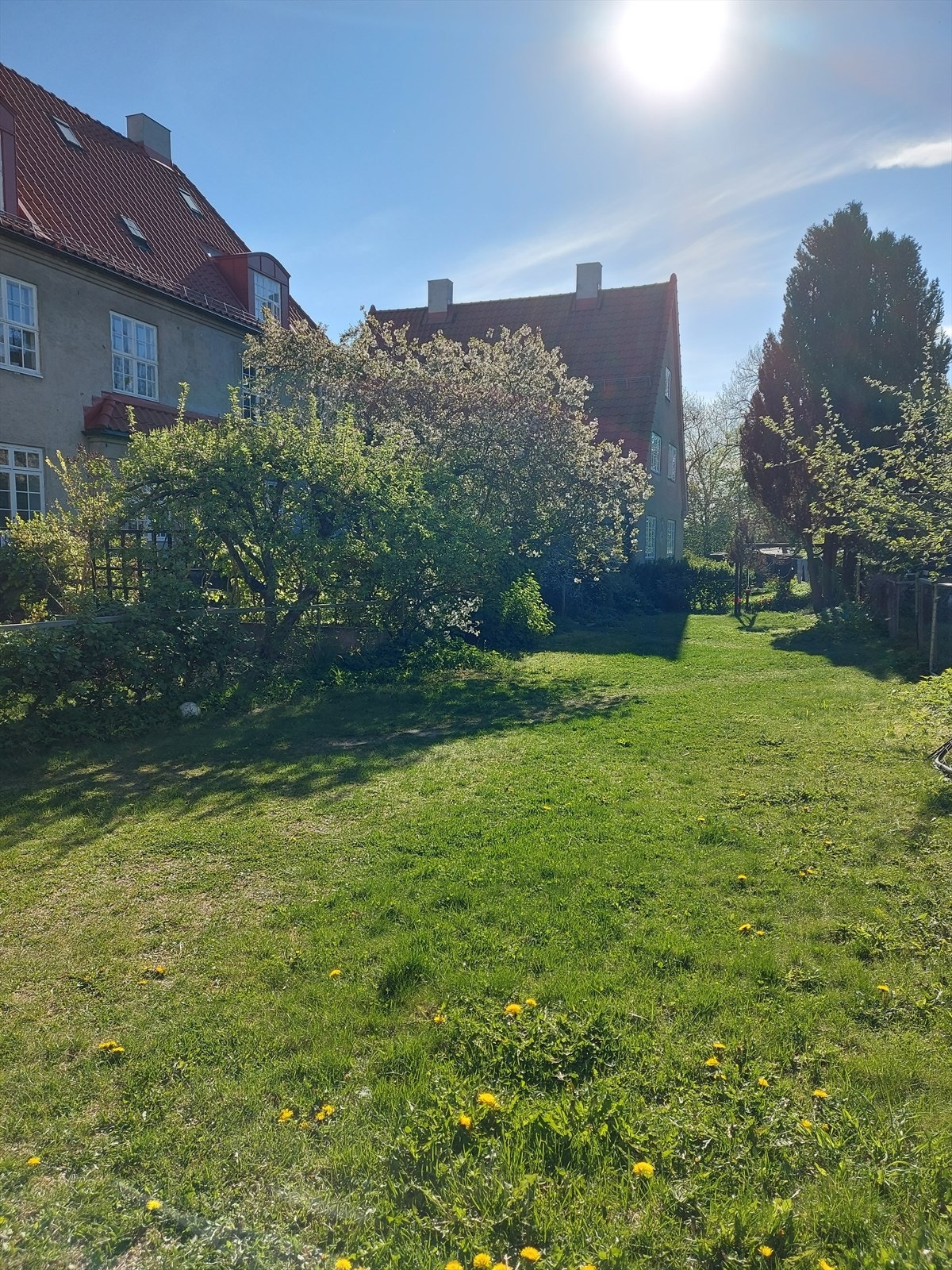 Felleshage - Hagene er inngjerdet, og plassen mellom parsellene kan brukes til glede for alle beboerne. Galleribilde