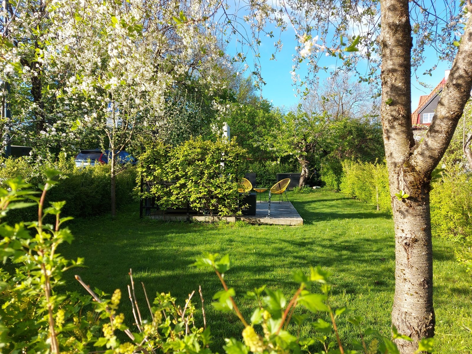 Sommeridyll (Selgers eget bilde). Galleribilde