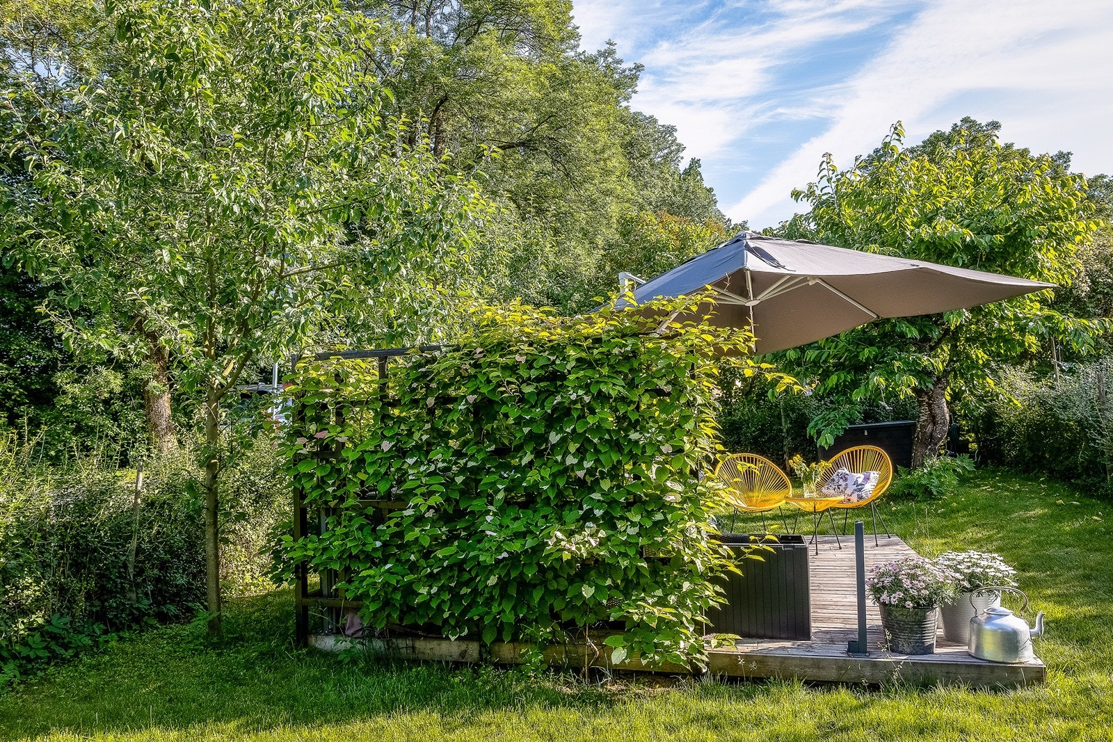 Sommeridyll (Selgers eget bilde). Galleribilde