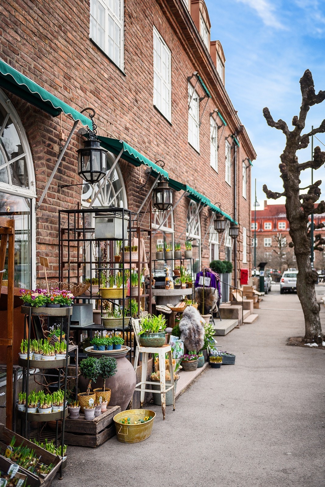 Beliggenheten rett ved Damplassen gir umiddelbar nærhet til blant annet nabolagskafé og bakeri, fontene med hyggelige sitteplasser og grøntareal i Harald Hals' park med tennisbane. Galleribilde