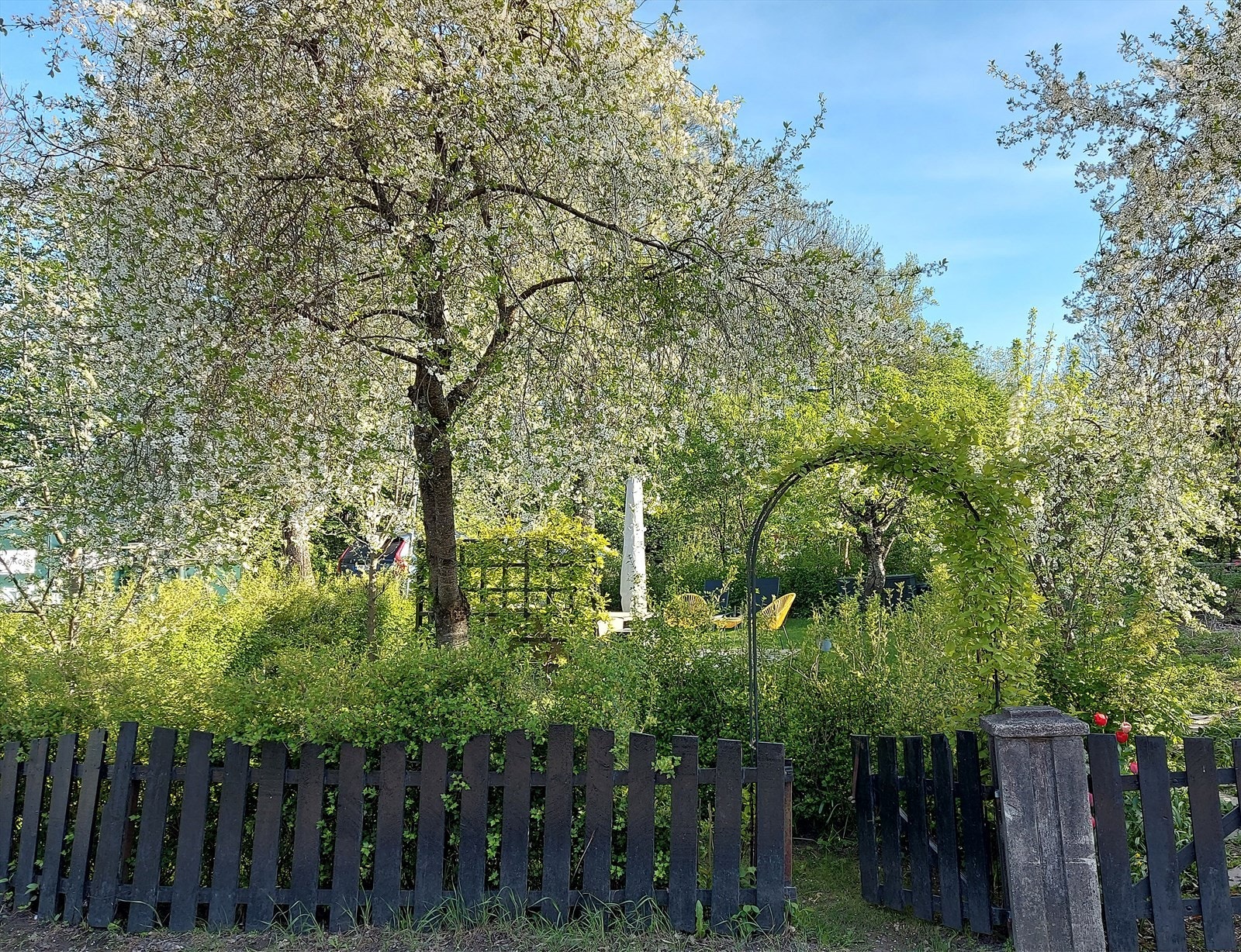 På sommerhalvåret blomstrer prydvekster i alle farger og fasonger, og utgjør en frodig og tilbaketrukket oase (selgers eget bilde). Galleribilde