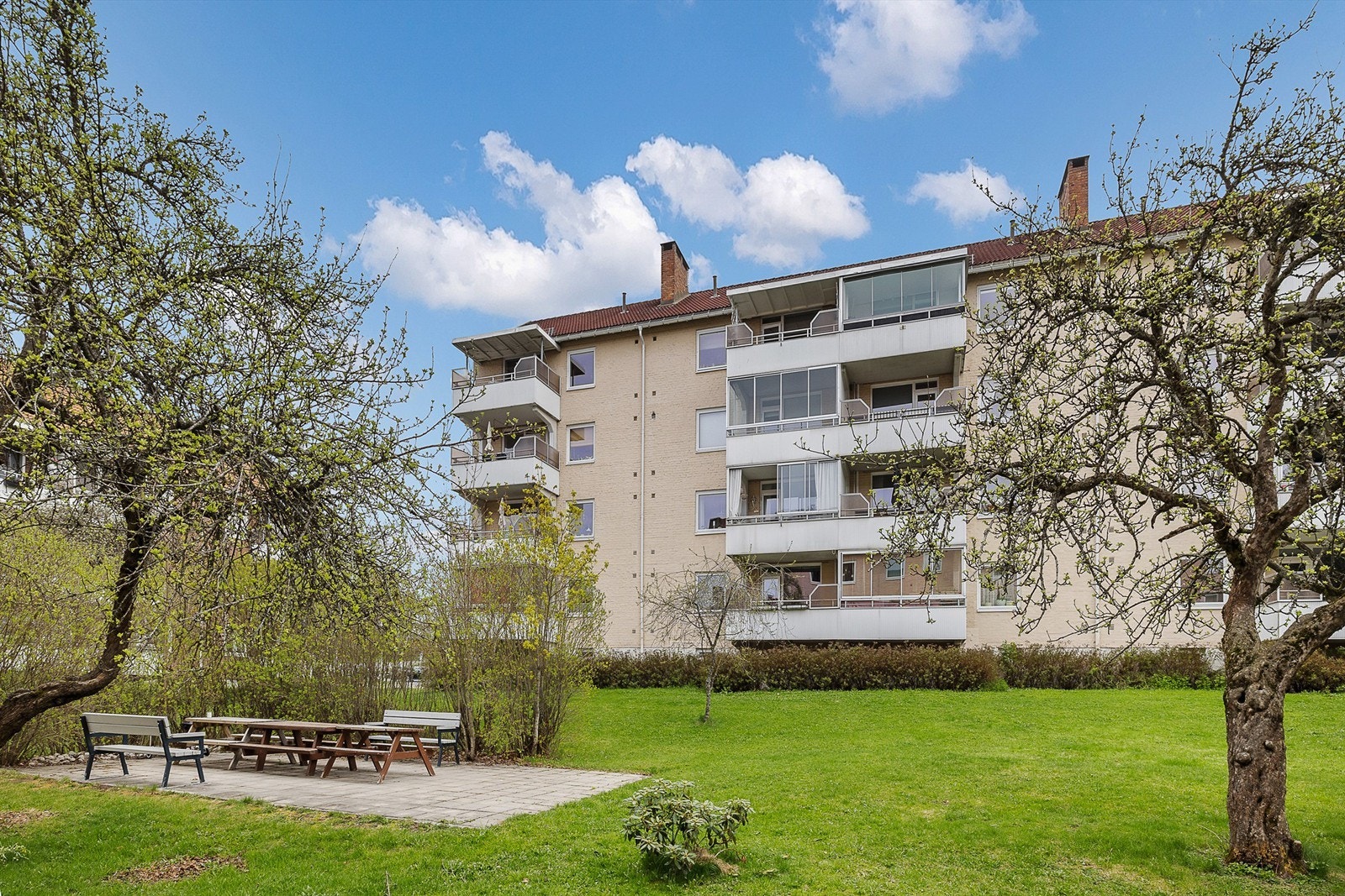 Fellesarealene er pent opparbeidet med plenarealer, prydbusker og diverse beplantning. Galleribilde