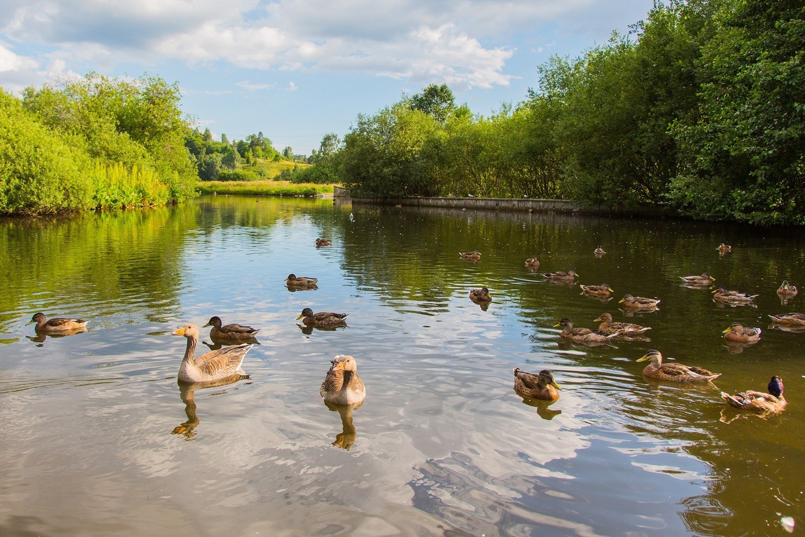 Kort vei til Østensjøvannet og Østmarka med flotte turområder. Galleribilde