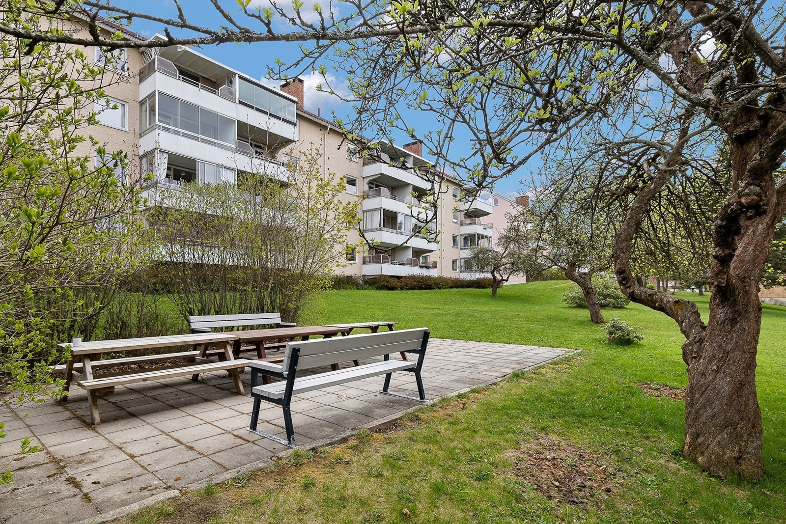 Felles sittegrupper.... Galleribilde