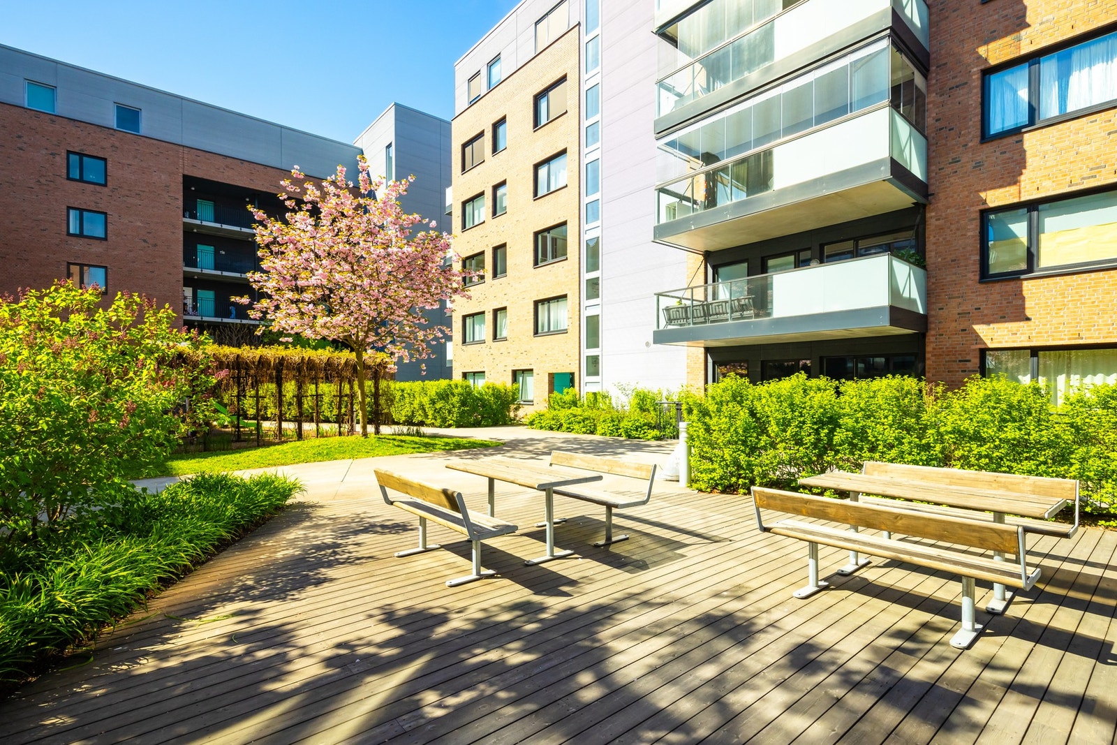 Felles hyggelig gårdsrom. Galleribilde