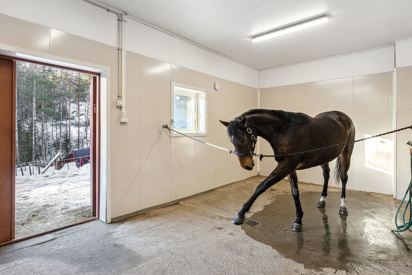 Vaskespilt med kaldt og varmt vann. Galleribilde