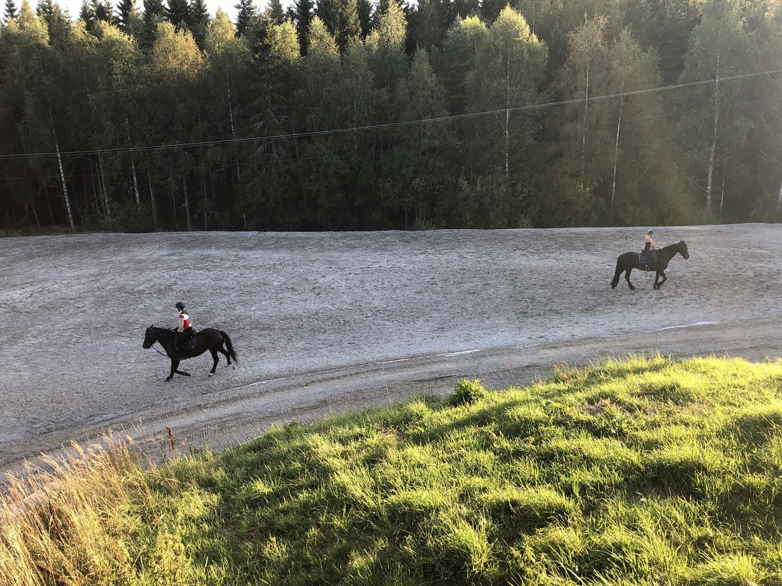 Selgers eget bilde - Ridebanen Galleribilde