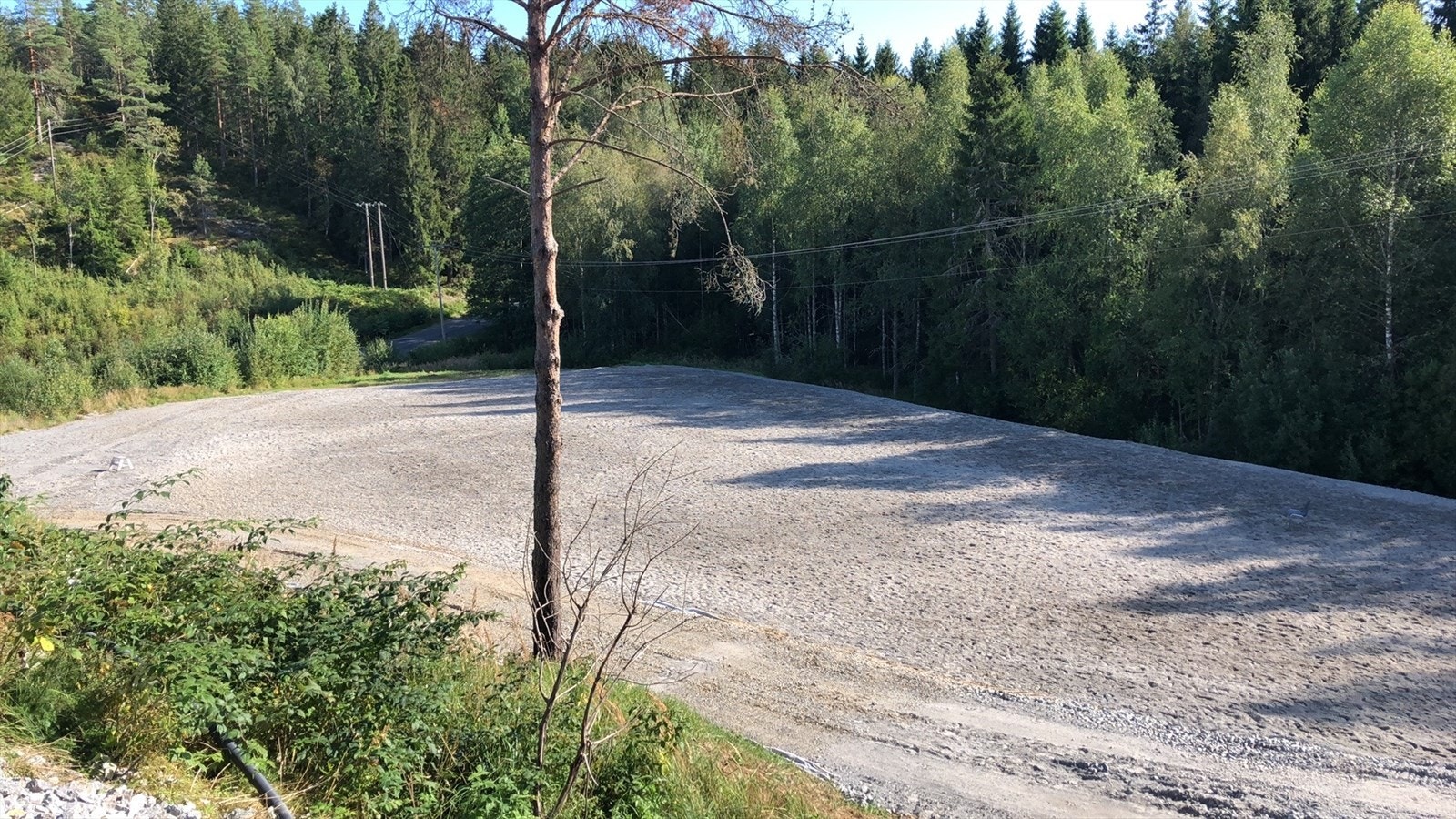 Selgers eget bilde - Ridebanen Galleribilde