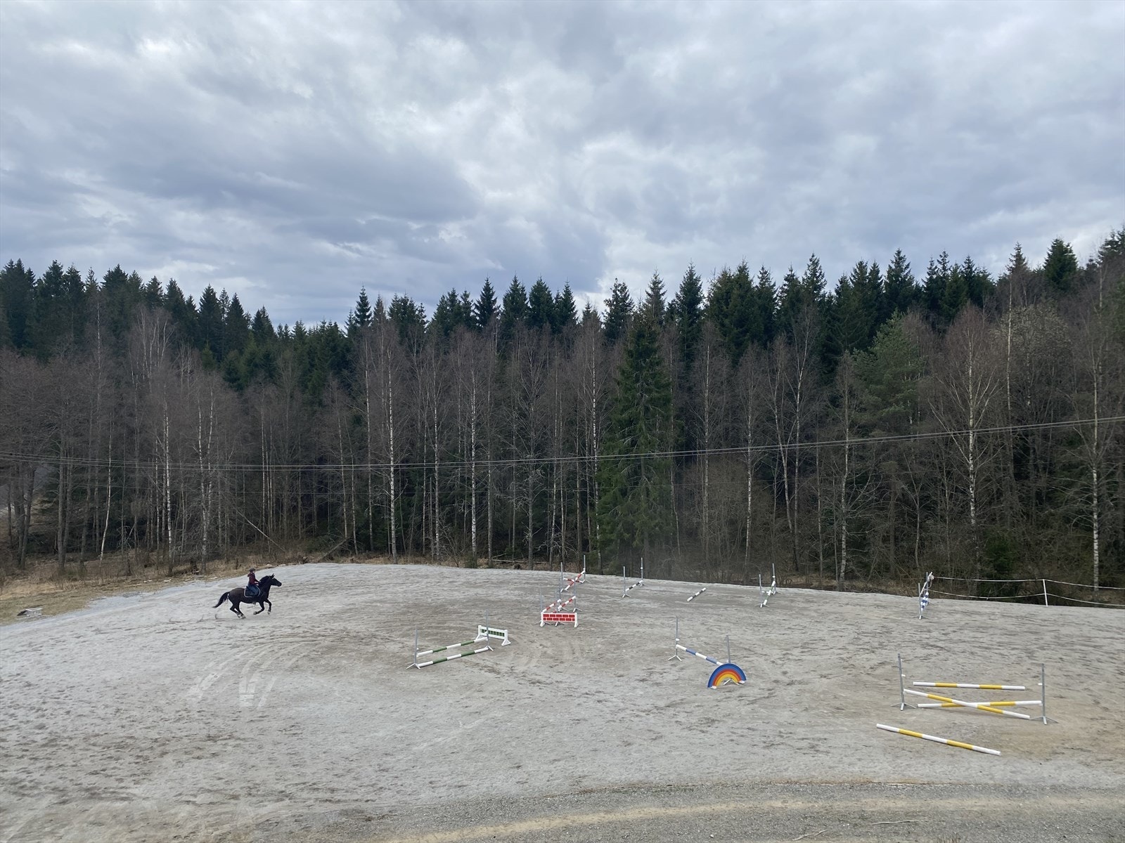 Selgers eget bilde - Ridebanen Galleribilde