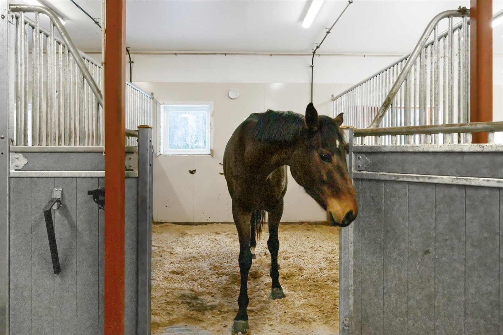 Stallinnredning og vinduer som kan åpnes fra Stall Kubberød. Galleribilde