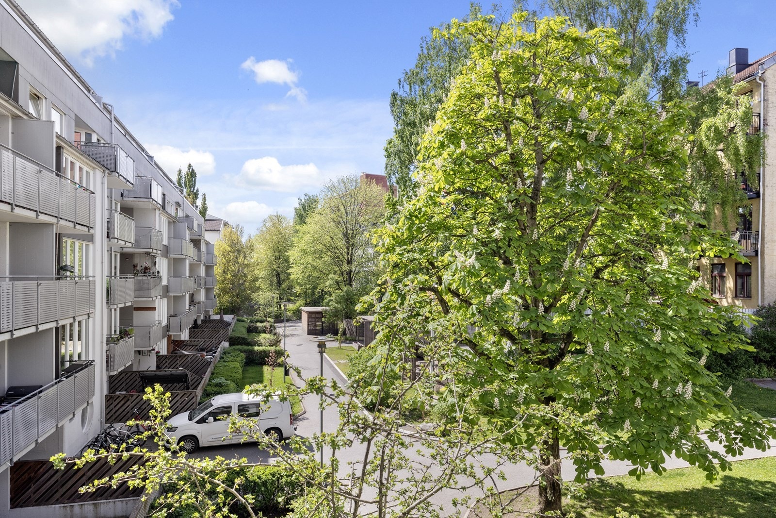 Fra balkongen har man flott utsikt mot frodige og rolig bakgård. Galleribilde