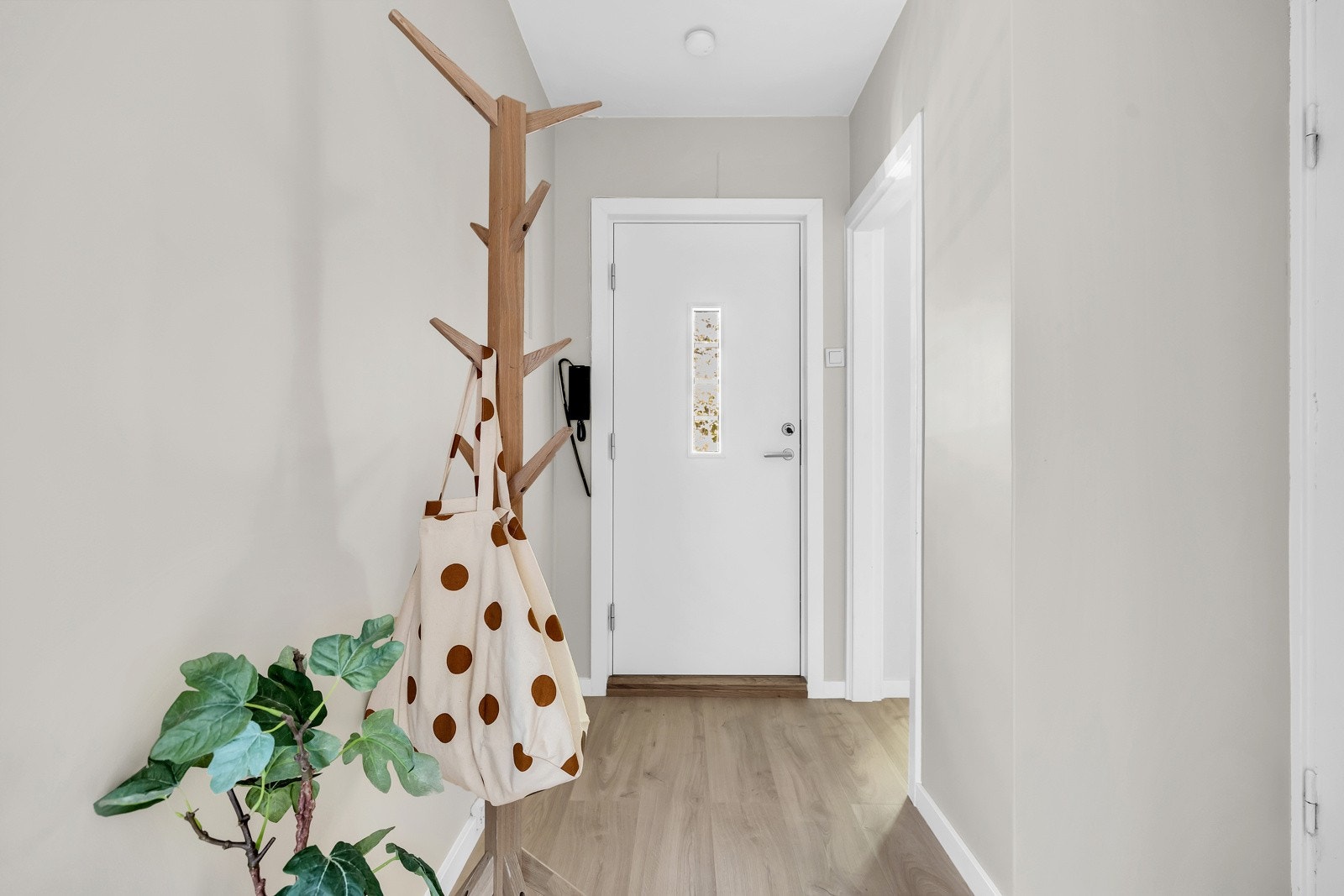 Lyst og innbydende. Velkommen inn! Galleribilde