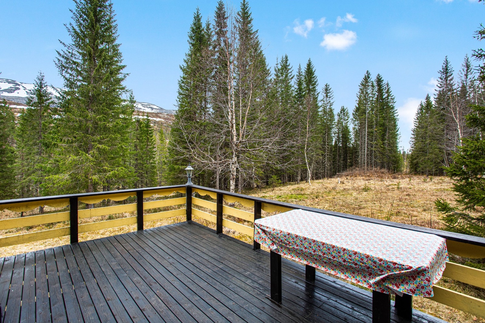 Naturtomt med myr og skog Galleribilde