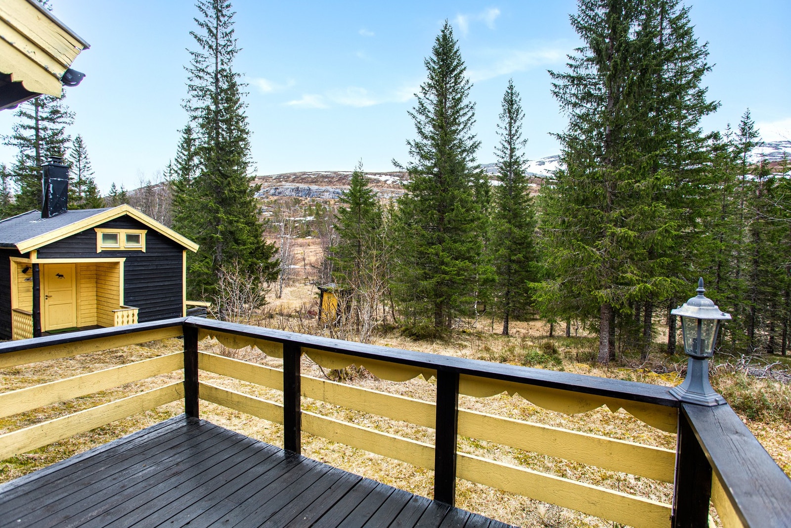 Skjermet og tilbaketrukket med utsyn mot nærområdet Galleribilde