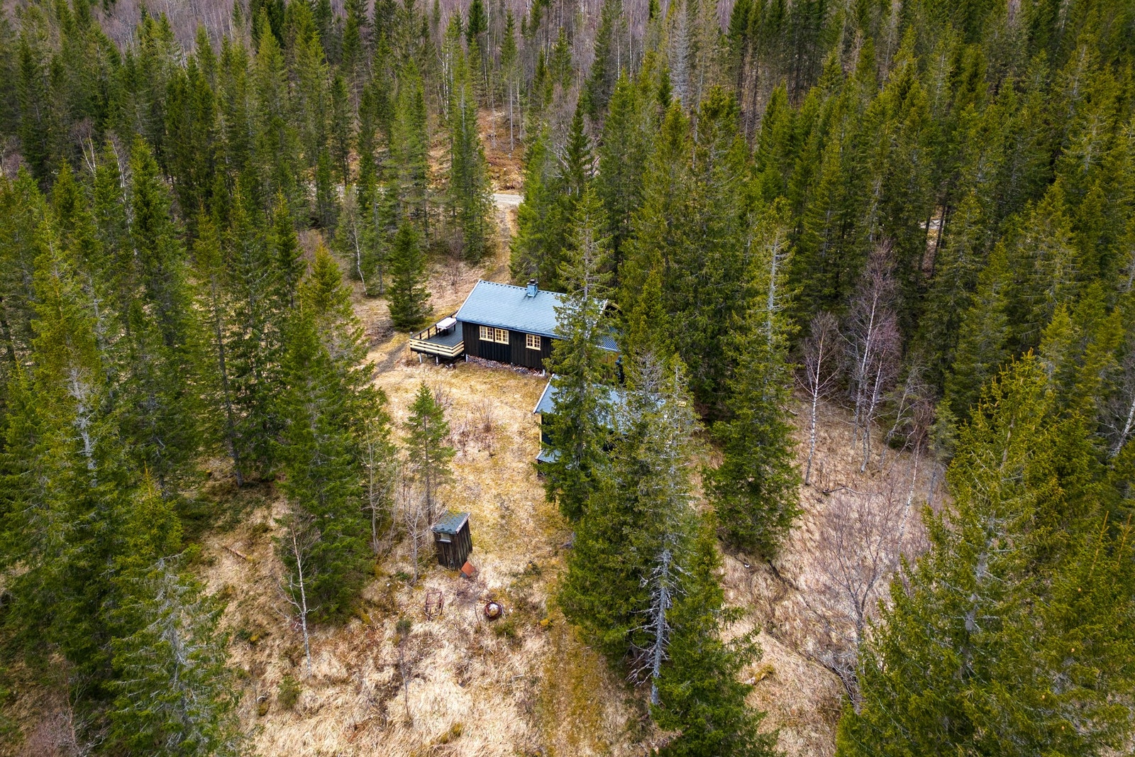 Vei like ved, med sti ned til hytta Galleribilde