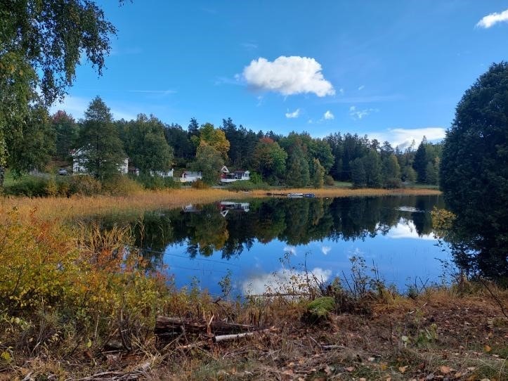 Moveien 189.jpg Galleribilde