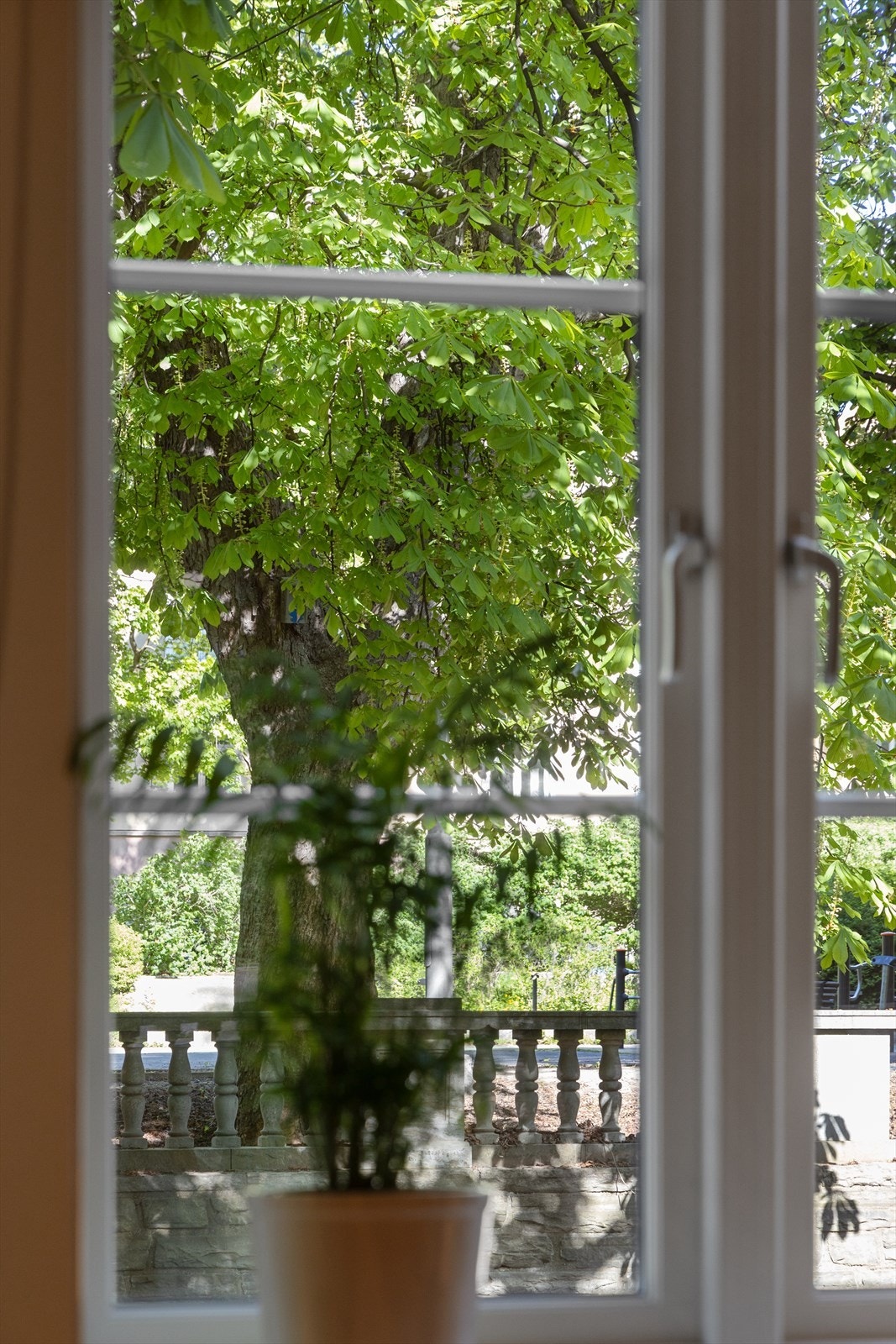 Rommene har store vindusflater som sikrer godt med lys og luft. Galleribilde