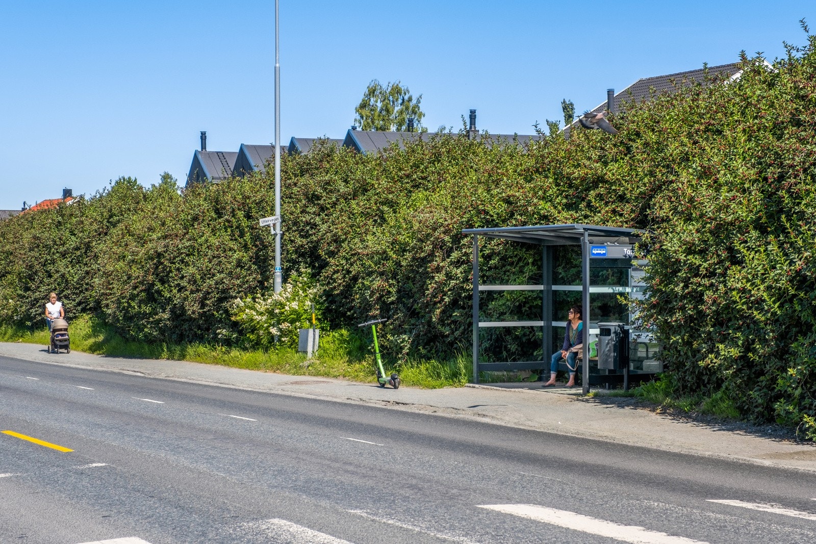 Nærområdet har glimrende bussforbindelser med hyppige avganger til og fra sentrum Galleribilde