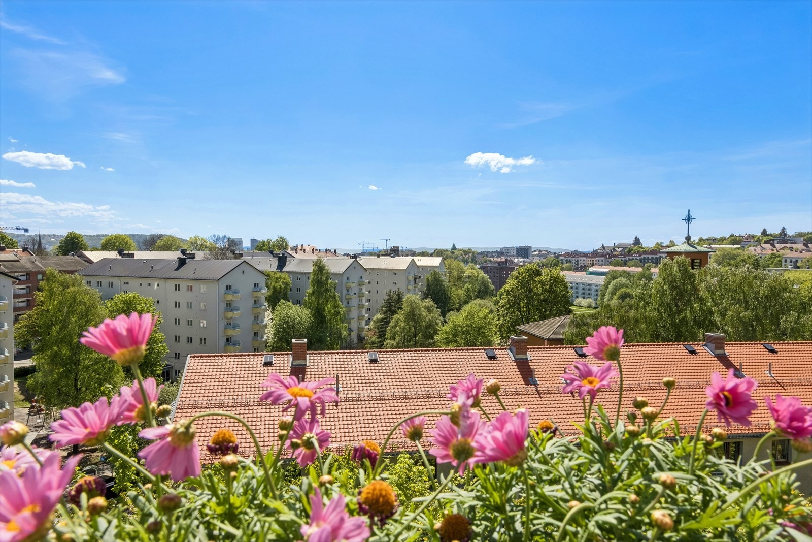 Solen skinner fra 1100-1900 Galleribilde