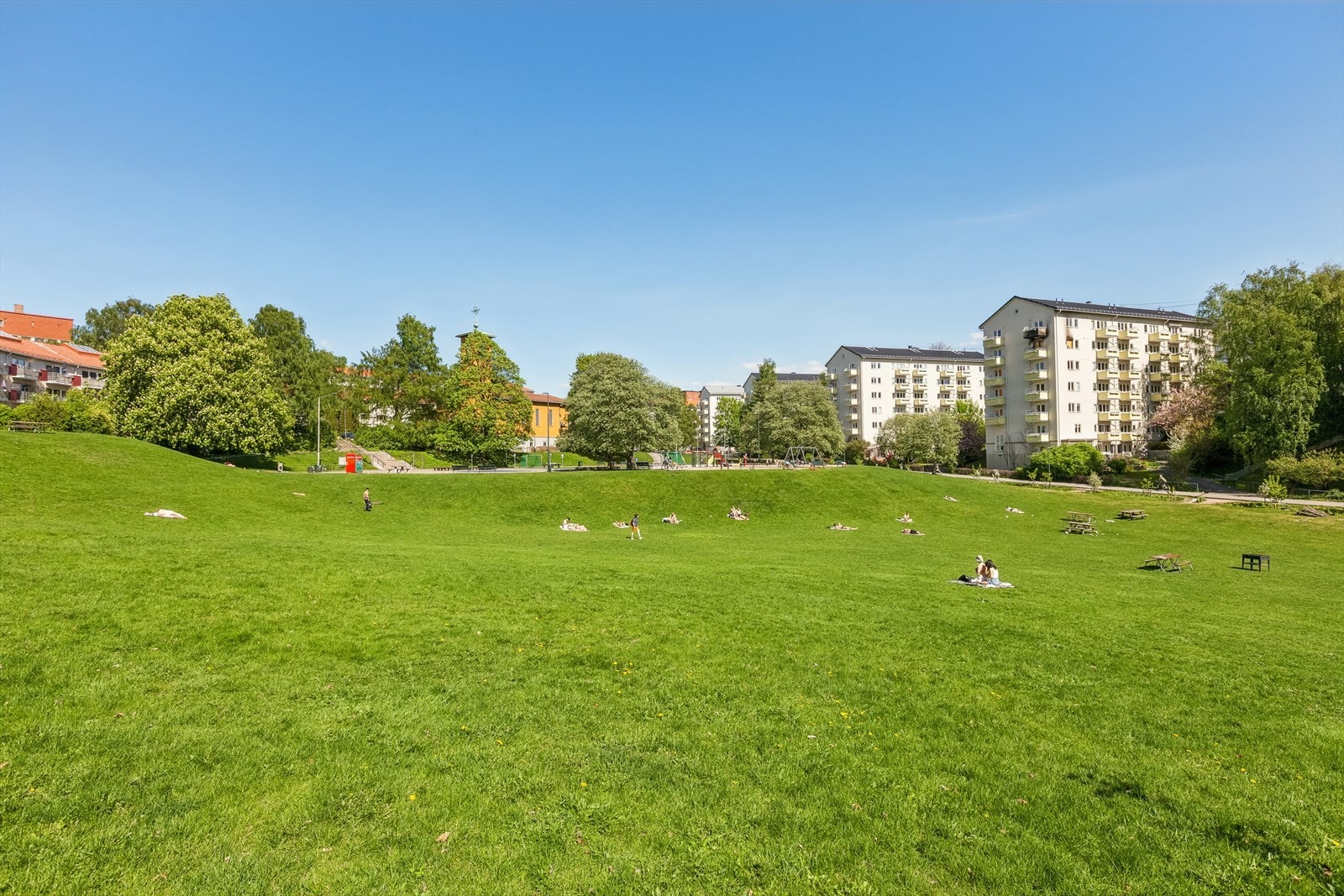 En annen fin nabo, Iladalen park Galleribilde