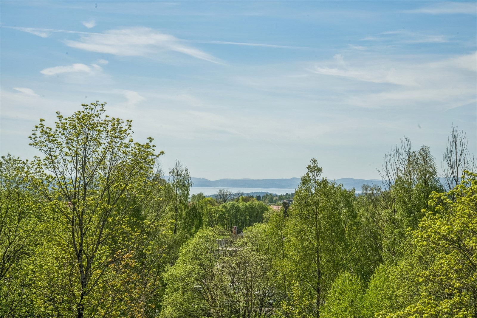 Fjordutsikt fra terrasse Galleribilde