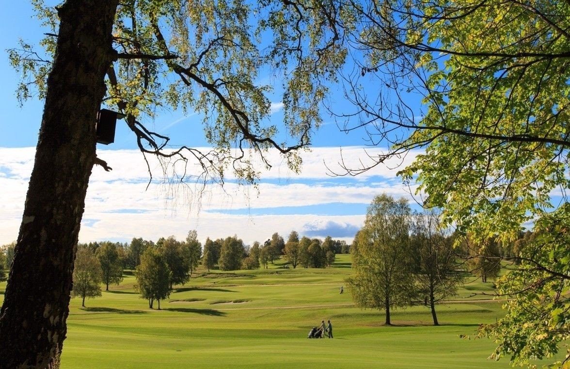 Bogstd Golfbane Galleribilde
