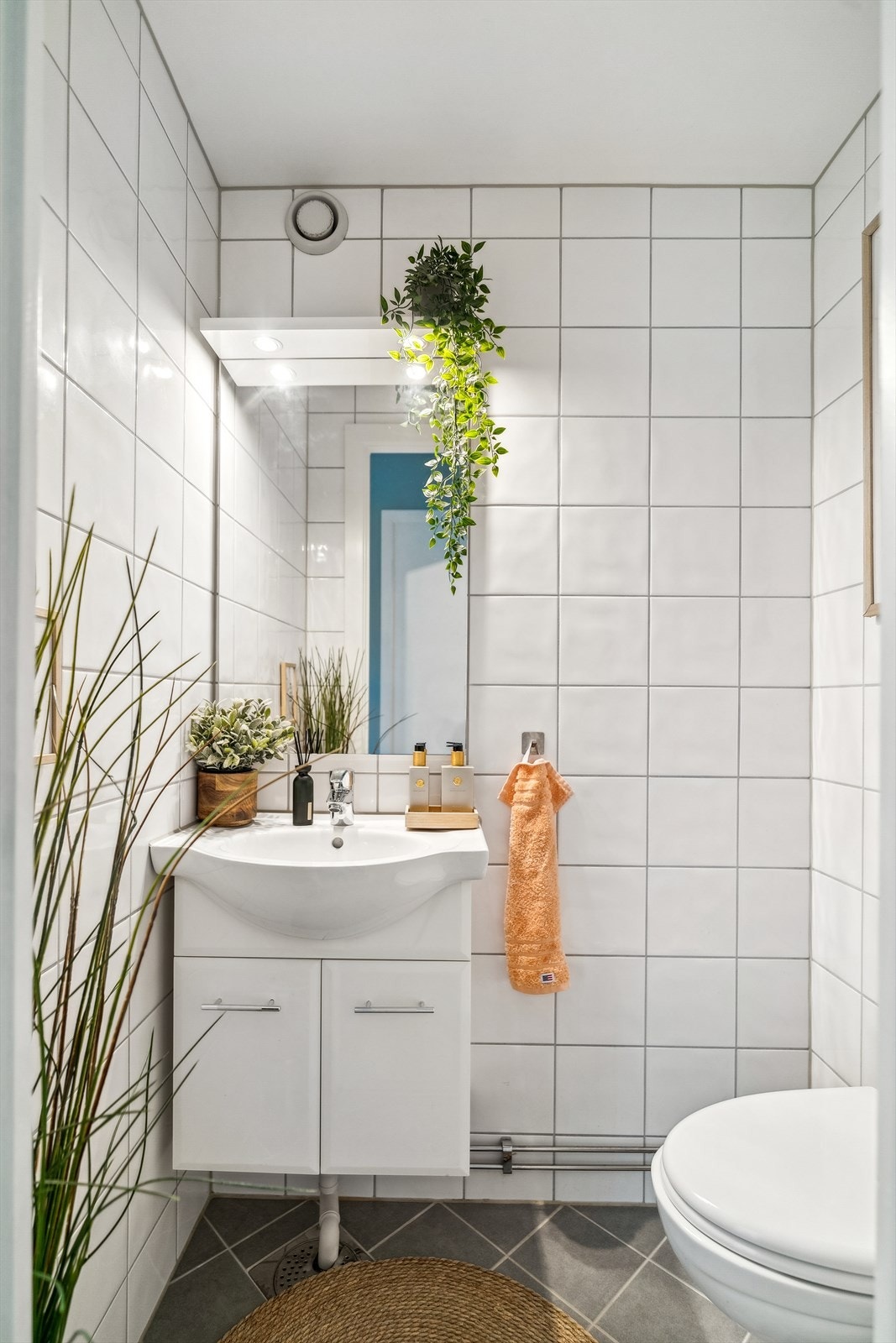 Det er plass og opplegg for vaskemaskin og tørketrommel. Galleribilde