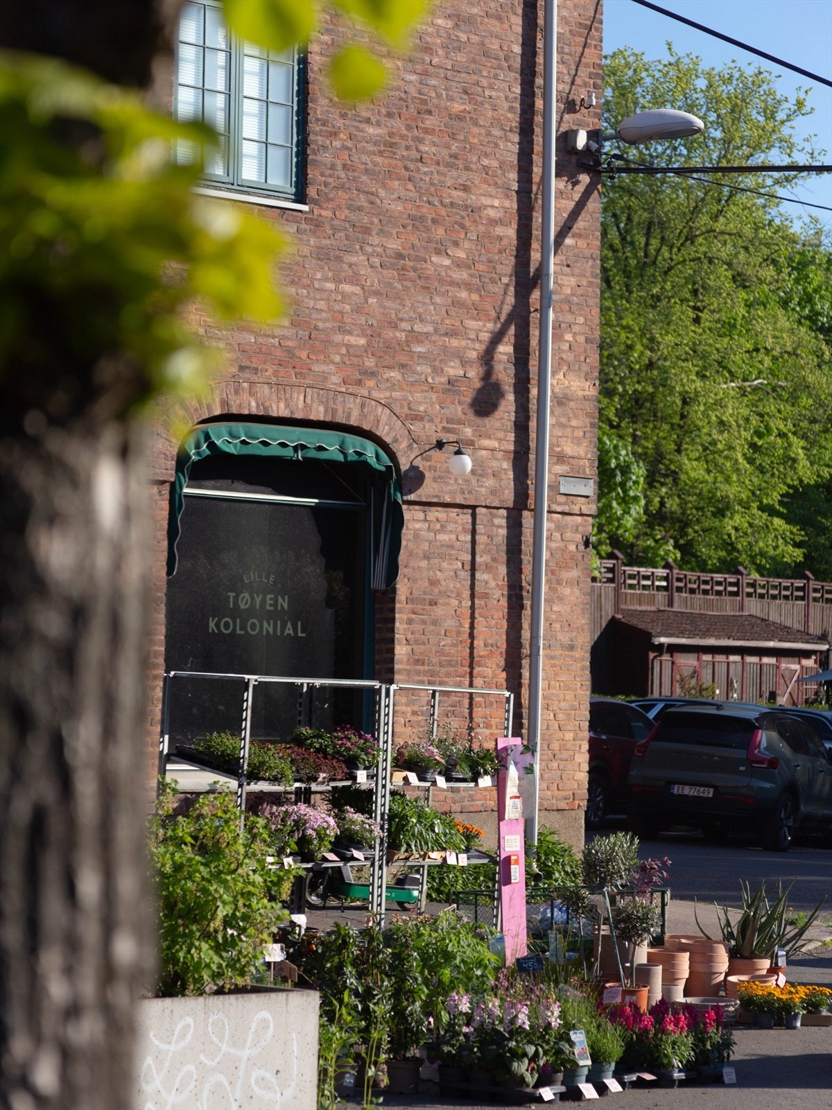 Mens vi venter på at kaféen skal åpne. Galleribilde