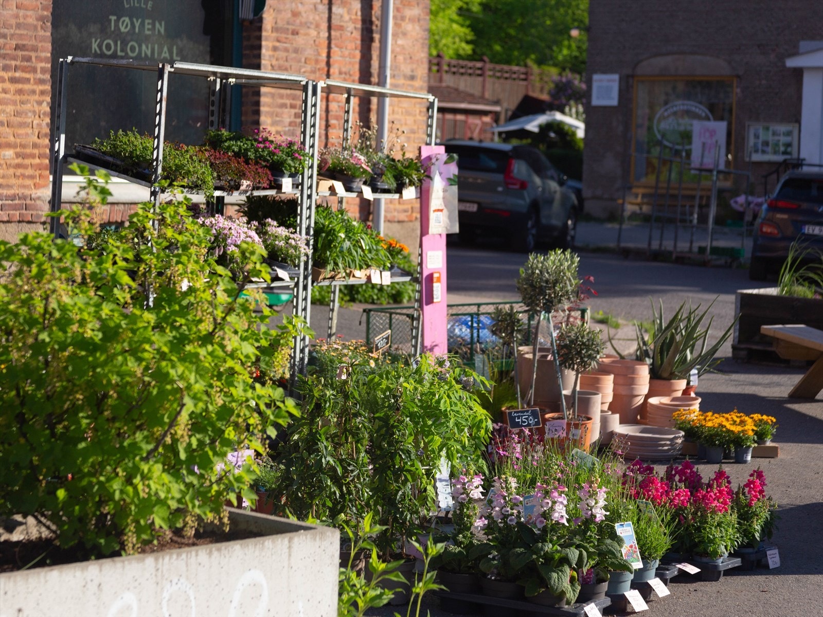 Åpent bakeri åpner kafe på sensommeren. I ventetiden har lokale gründere koselig blomsterbutikk på plassen. Galleribilde
