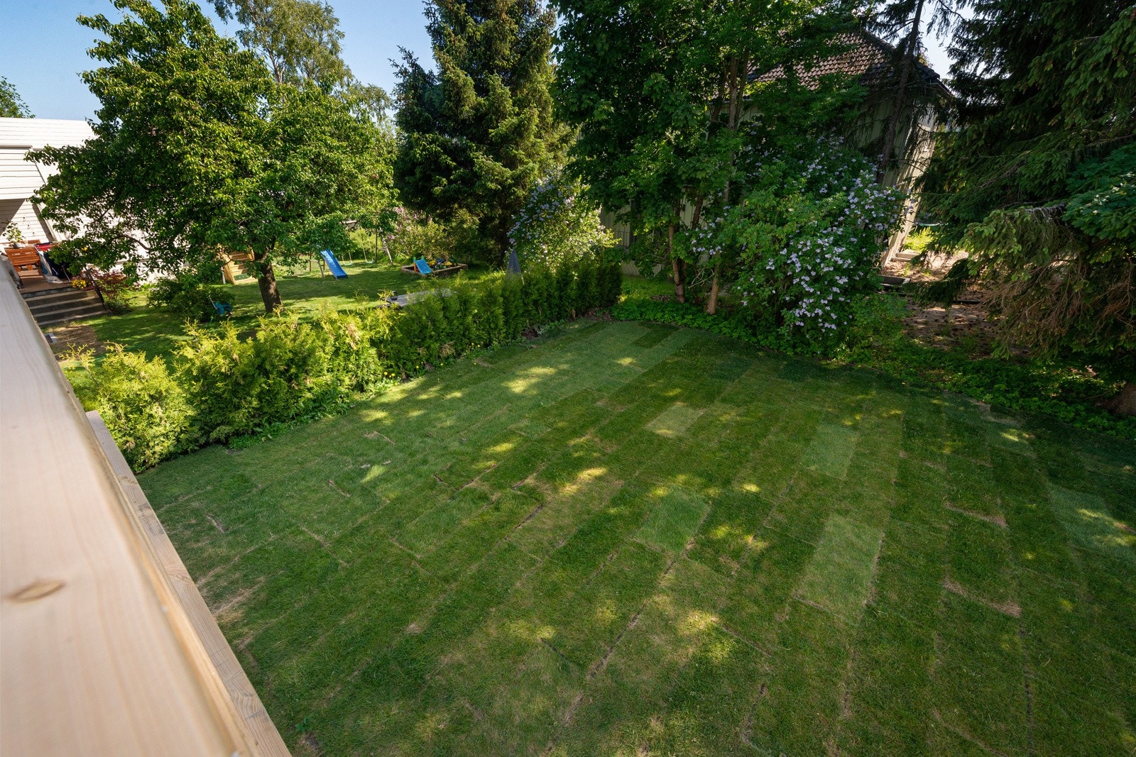 Flott og frodig hage. Galleribilde