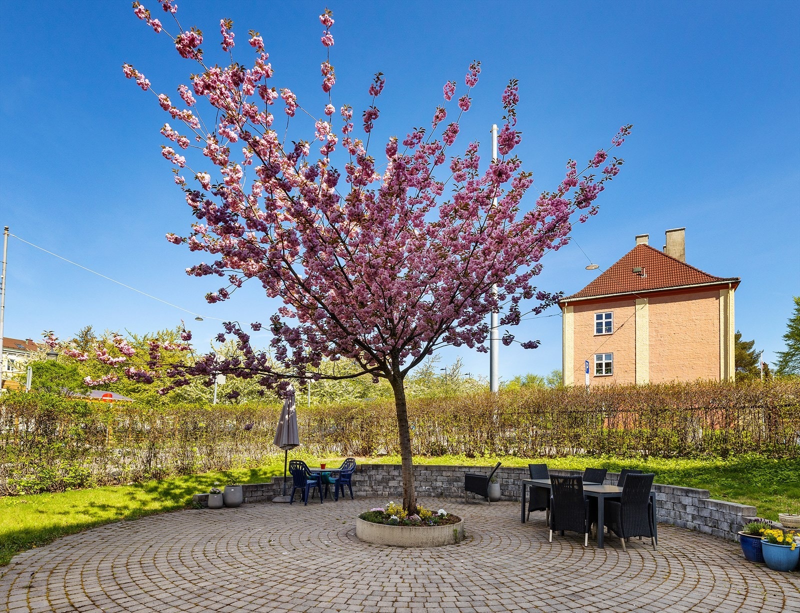 Meget pen holdt i borettslaget Galleribilde