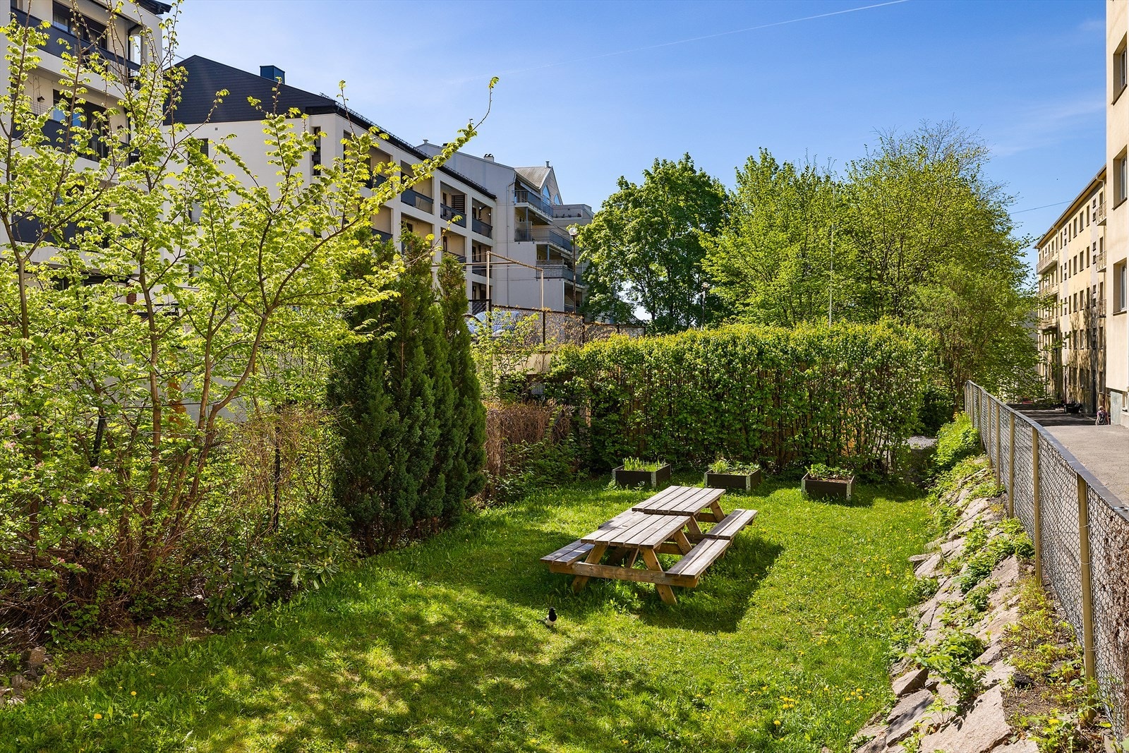 Felles uteområder Galleribilde