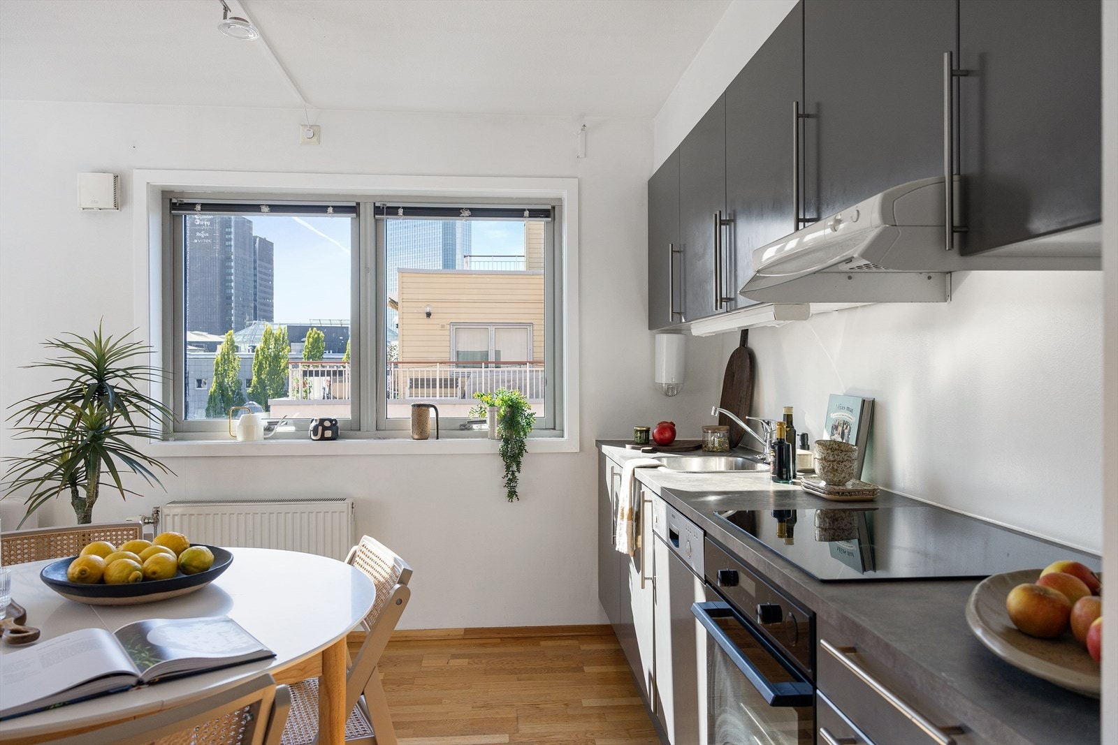 Av integrerte hvitevarer er det stekeovn, nedfelt induksjon platetopp, ventilator til felles anlegg over kokeplass og oppvaskmaskin. Galleribilde