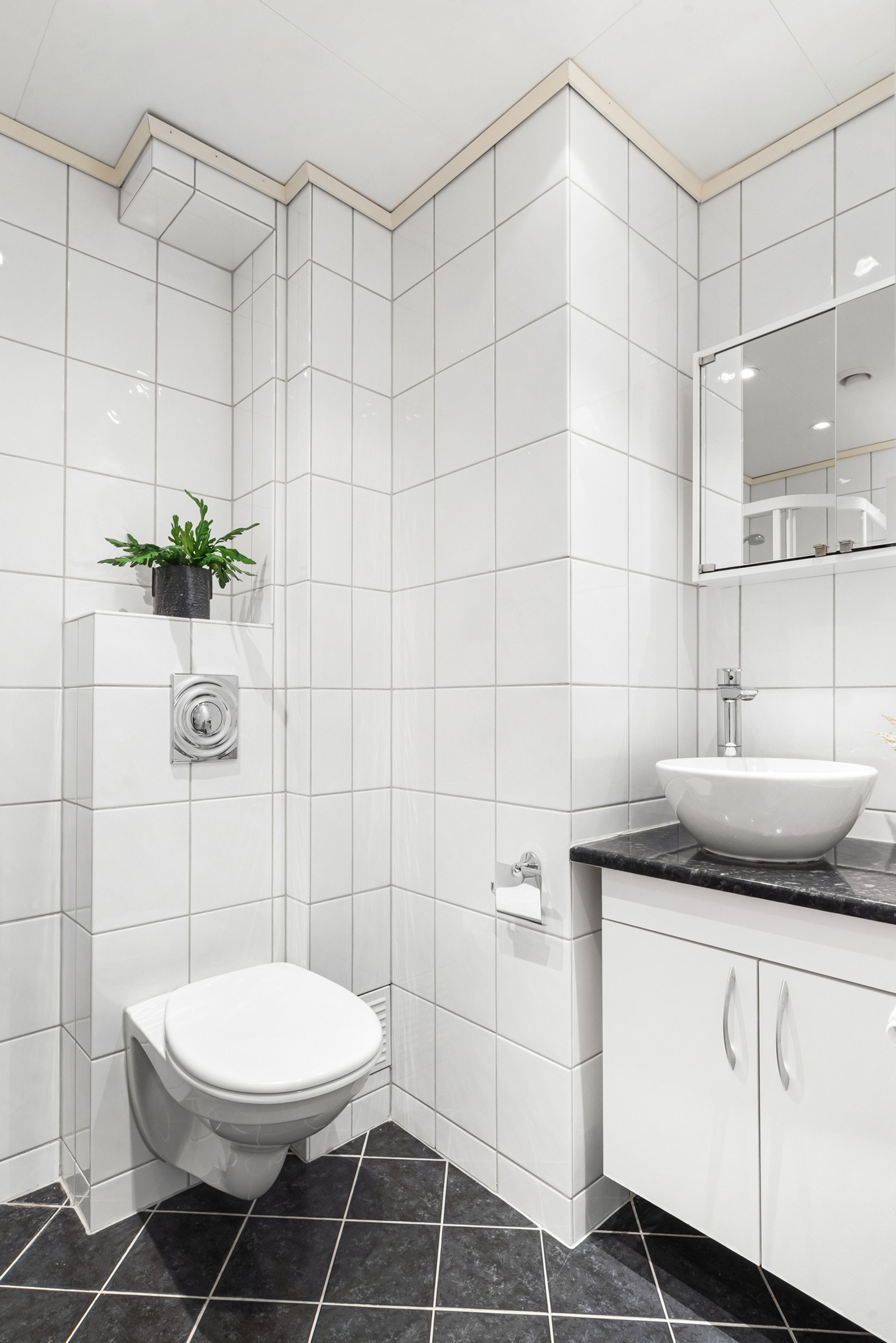 Baderomsinnredningen har veggmontert toalett, skapinnredning med toppmontert skålservant og speilskap i overkant. Galleribilde