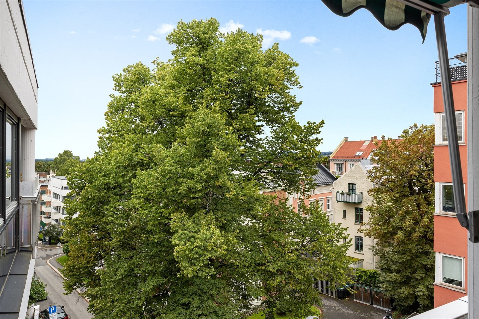 Frodig og langstrakt utsyn fra balkong. Galleribilde