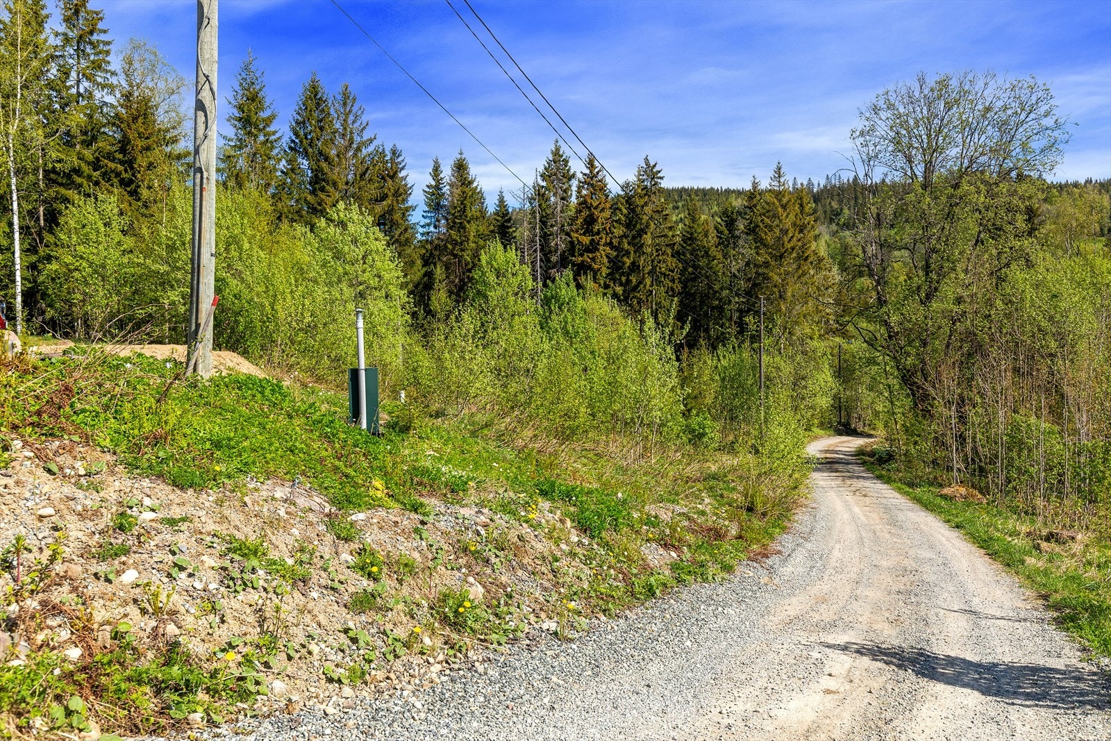 Tinglyst veirett til eiendommen. Galleribilde