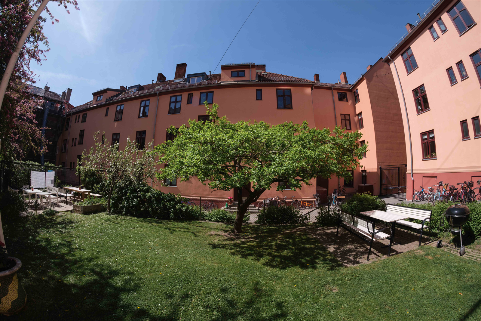 - Bakgård - Galleribilde