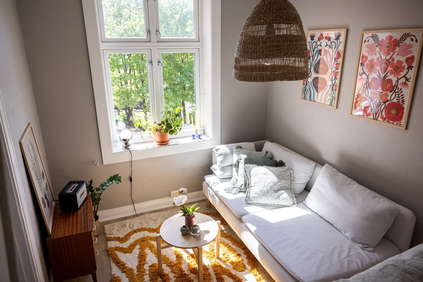 - Hyggelig stue/soverom - Galleribilde