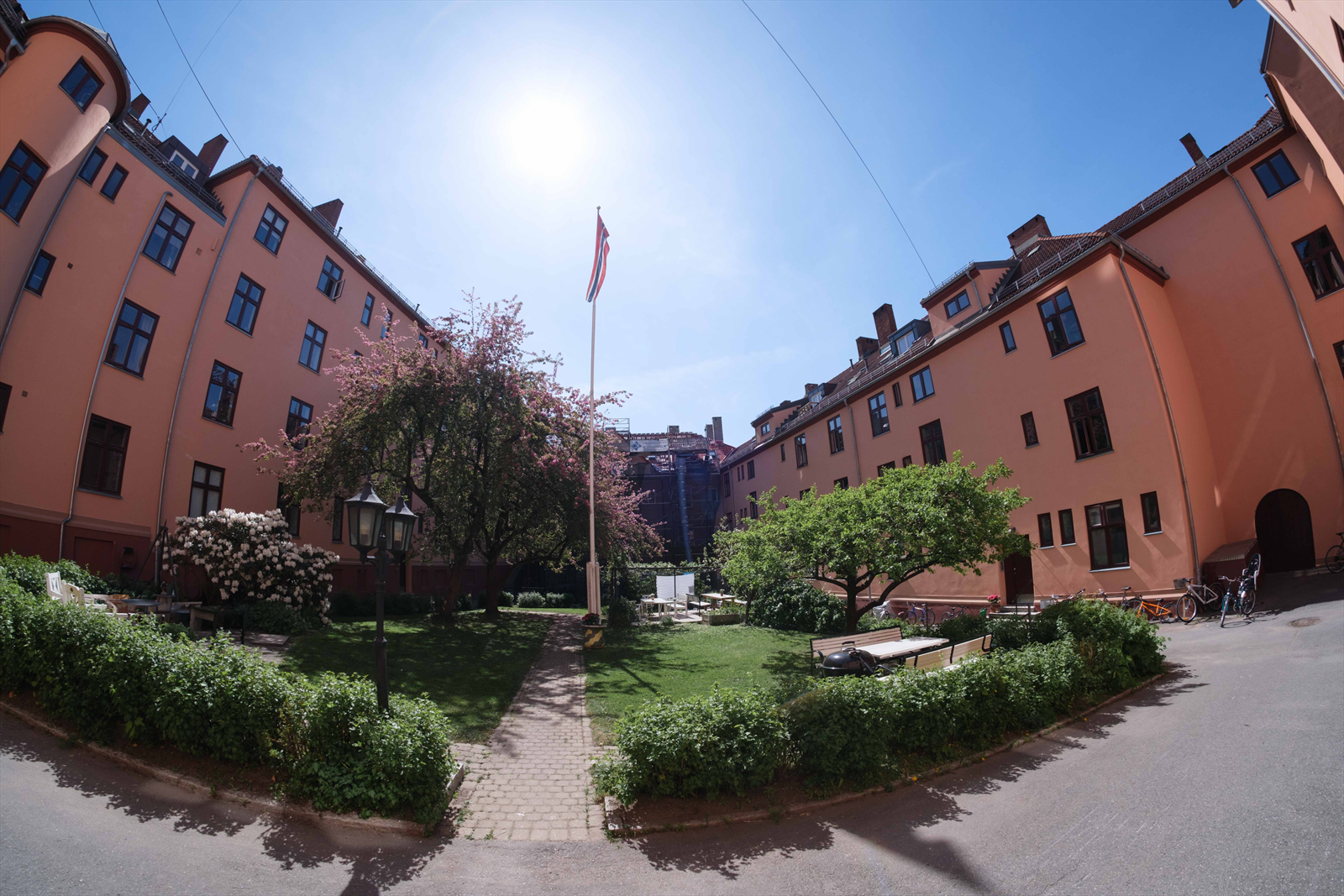 - Bakgård - Galleribilde