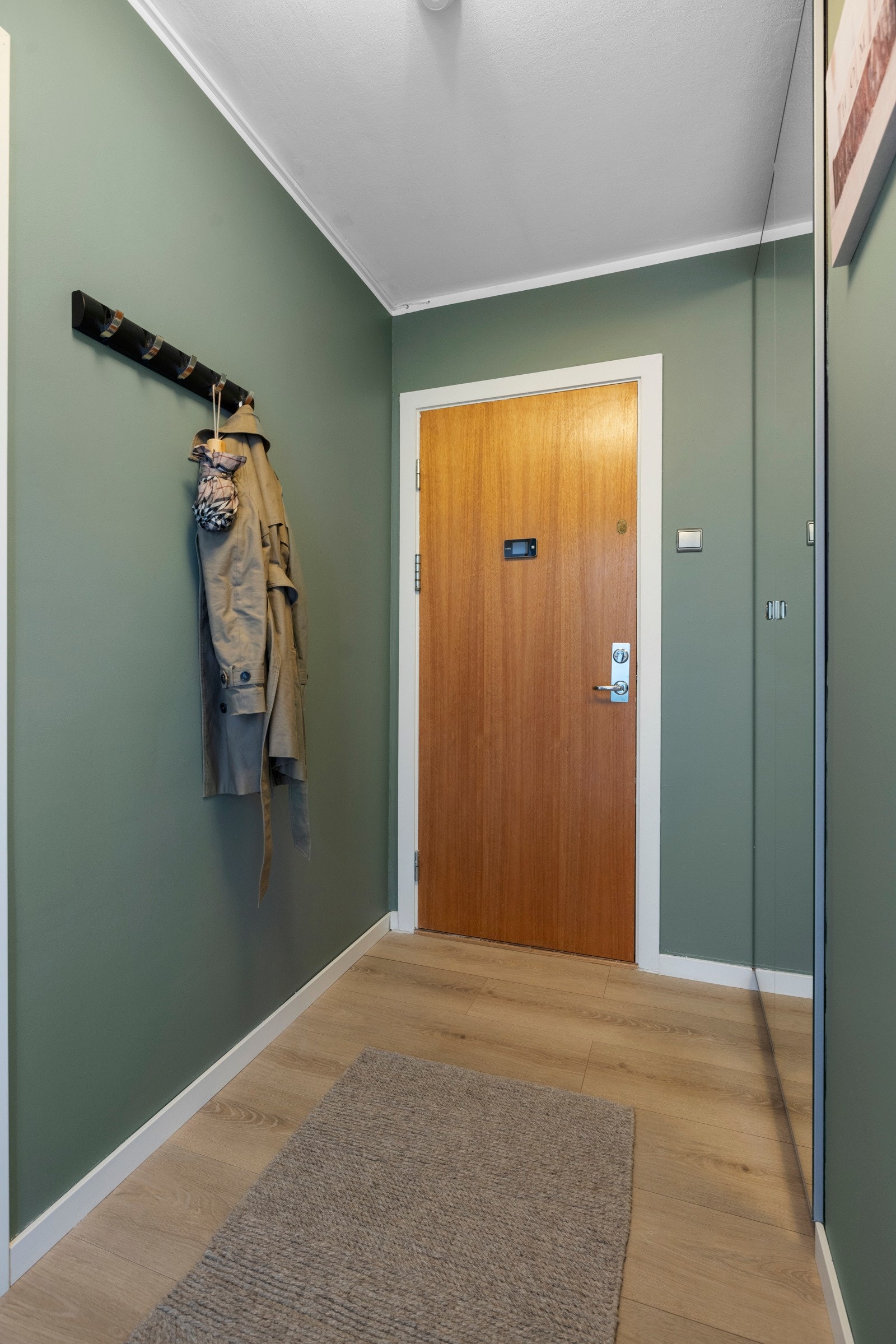 Entréen er pen med grønnmalte vegger og tidsmessig, enstavs laminatgulv Galleribilde