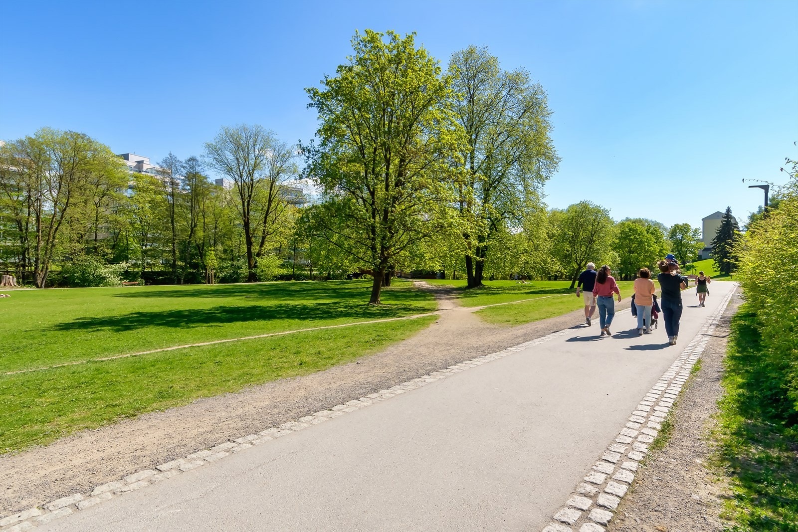 Bjølsenparken ligger like ved leiligheten - en grønn lunge midt i byen Galleribilde