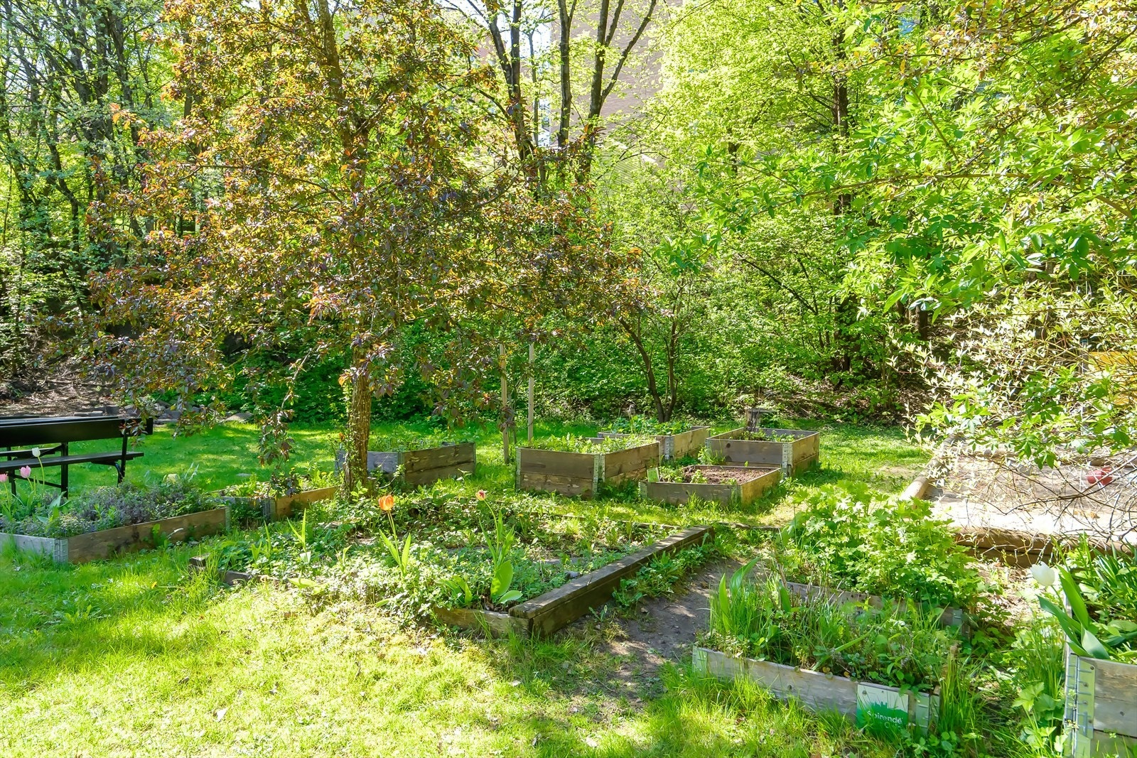 I bakgården til borettslaget finner du plantekasser, sittegrupper og lekeplass Galleribilde