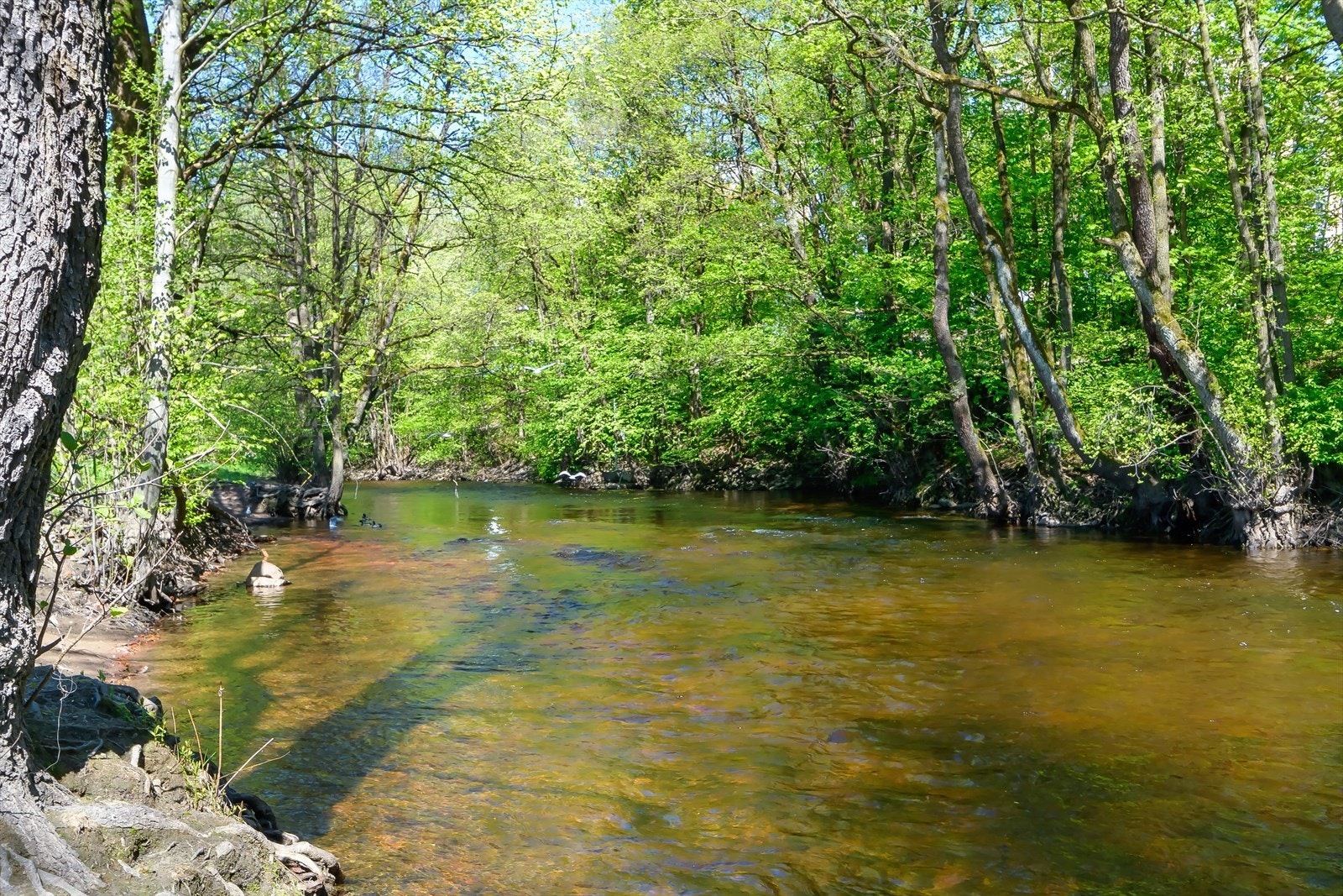 Akerselva renner rett ved og er med på å forsterke den idylliske opplevelsen av området Galleribilde