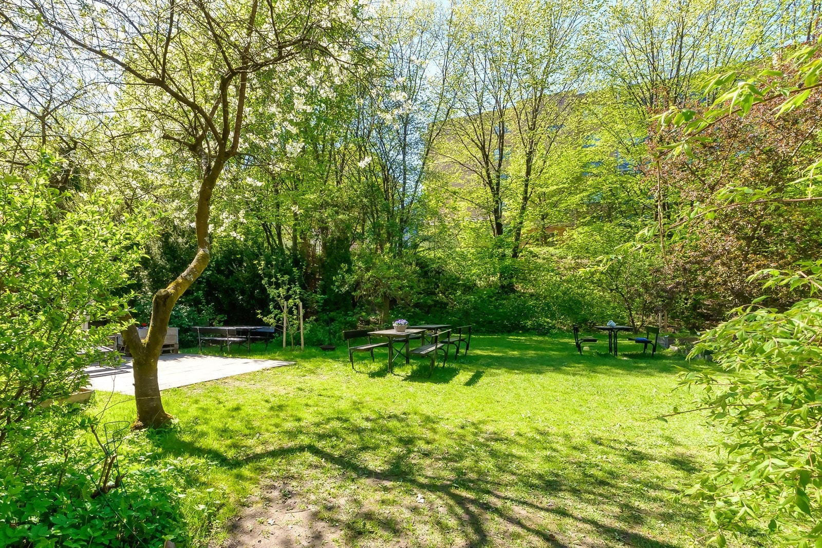 Borettslaget har sin egen lille oase bak blokken med flott beplantning og grøntområder Galleribilde