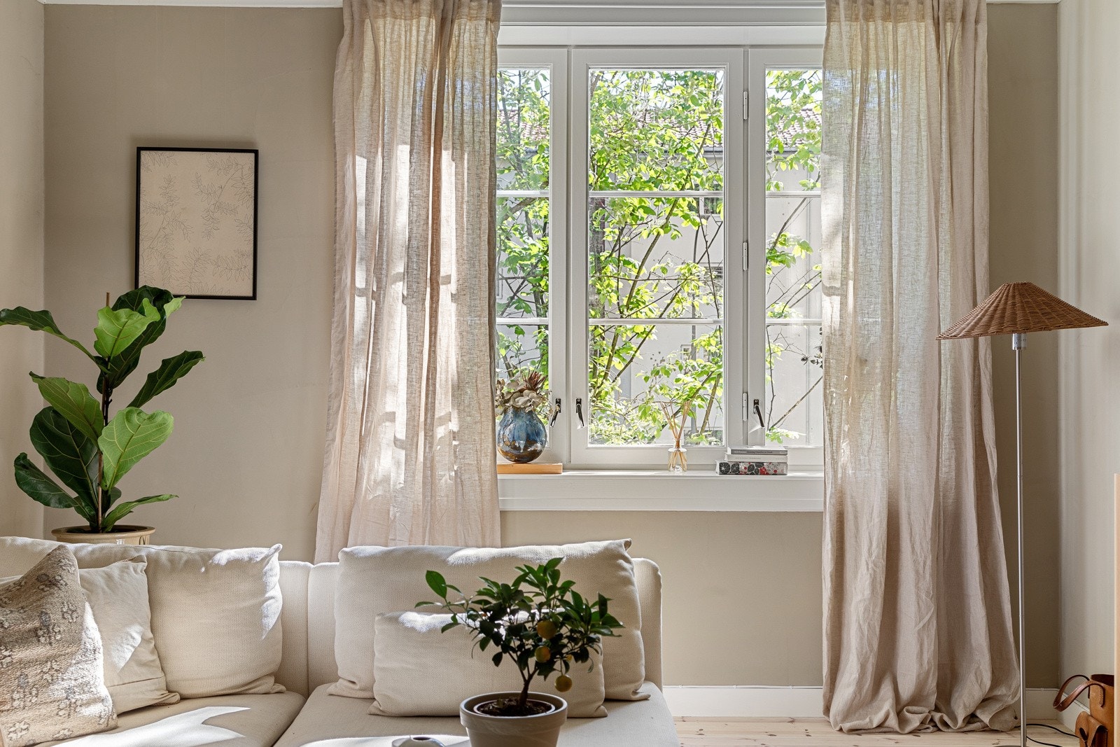 Store vindusflater som gir rikelig med naturlig lys Galleribilde