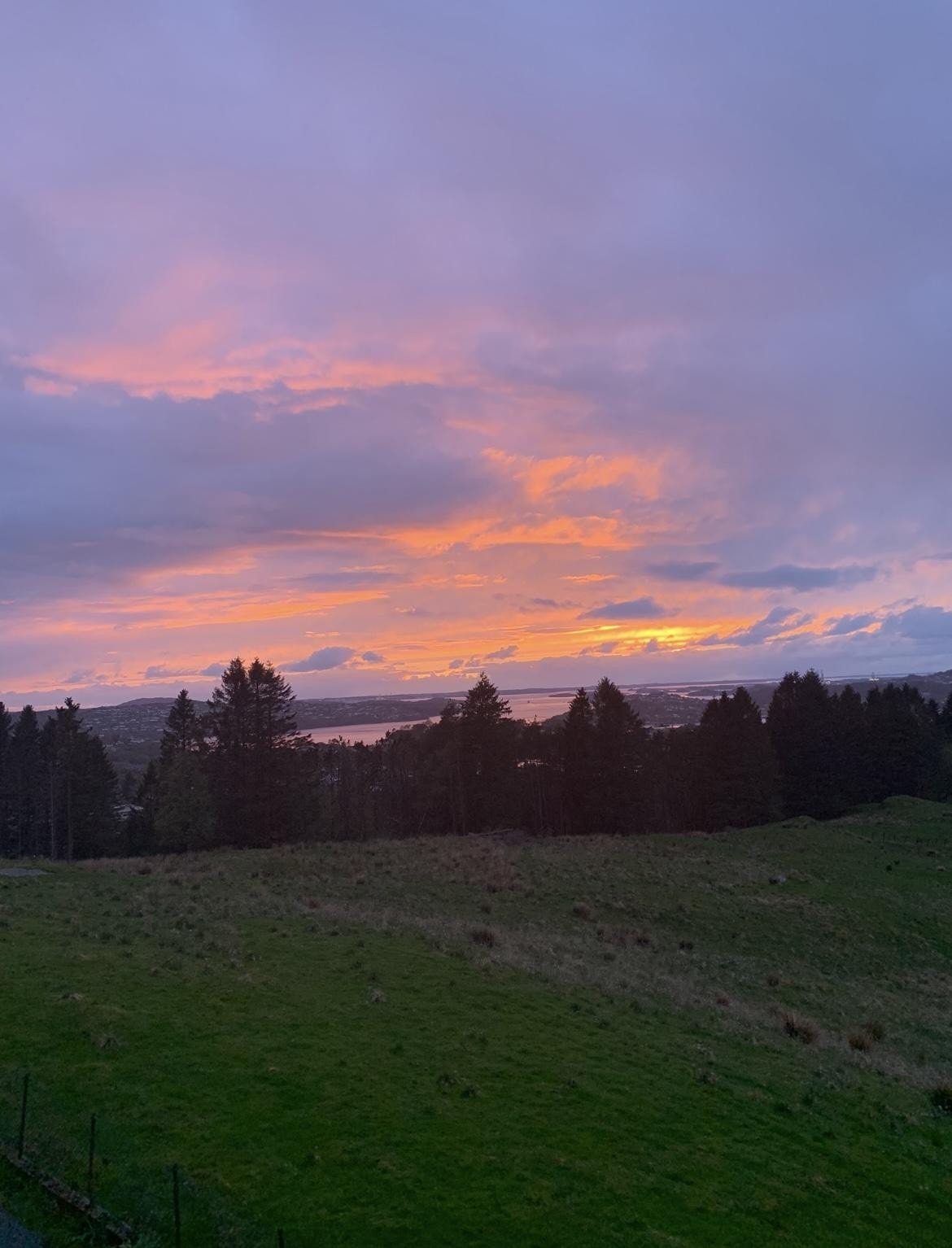 Utsikt mot grøntarealer og flott solnedgang. Galleribilde