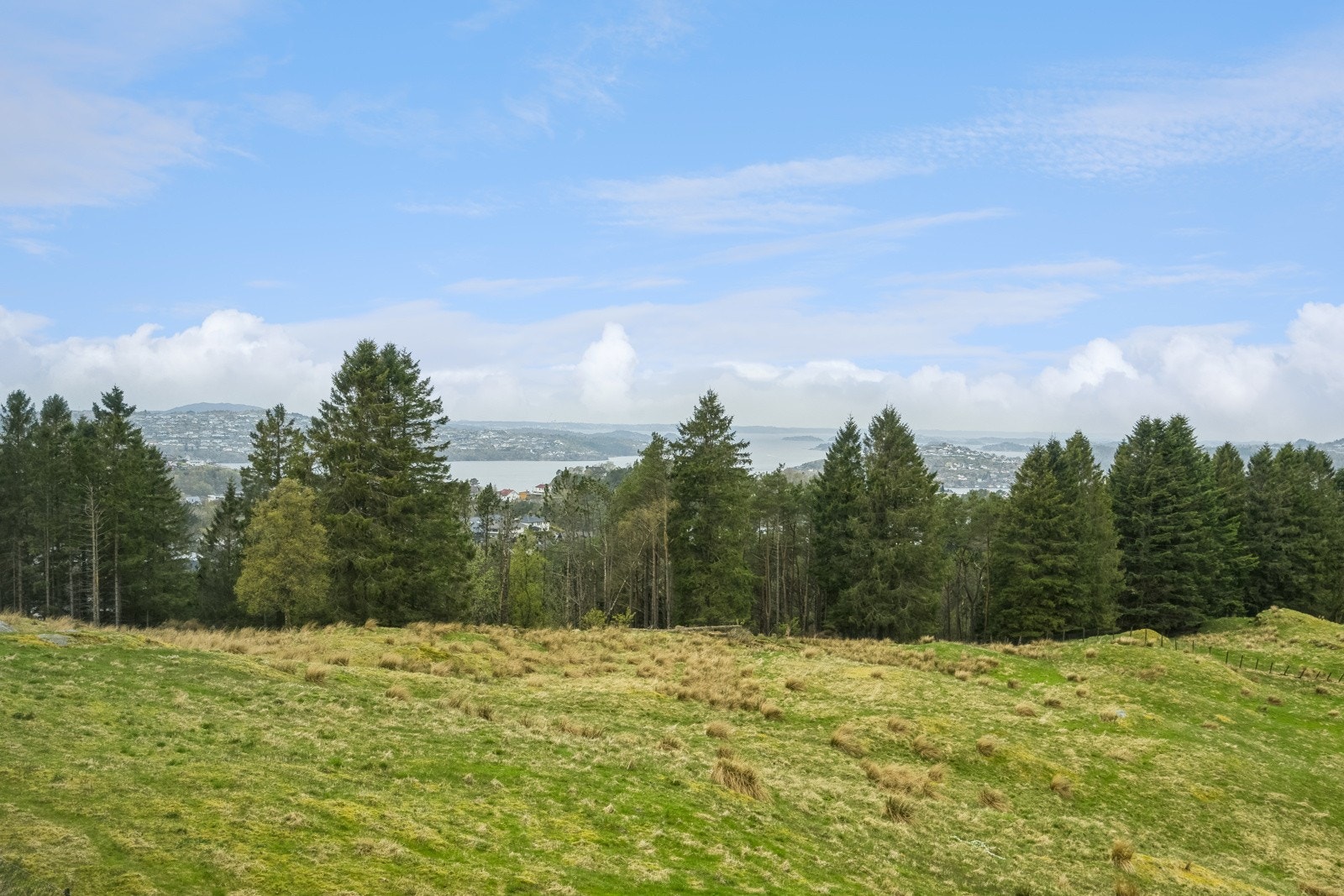 Området Galleribilde