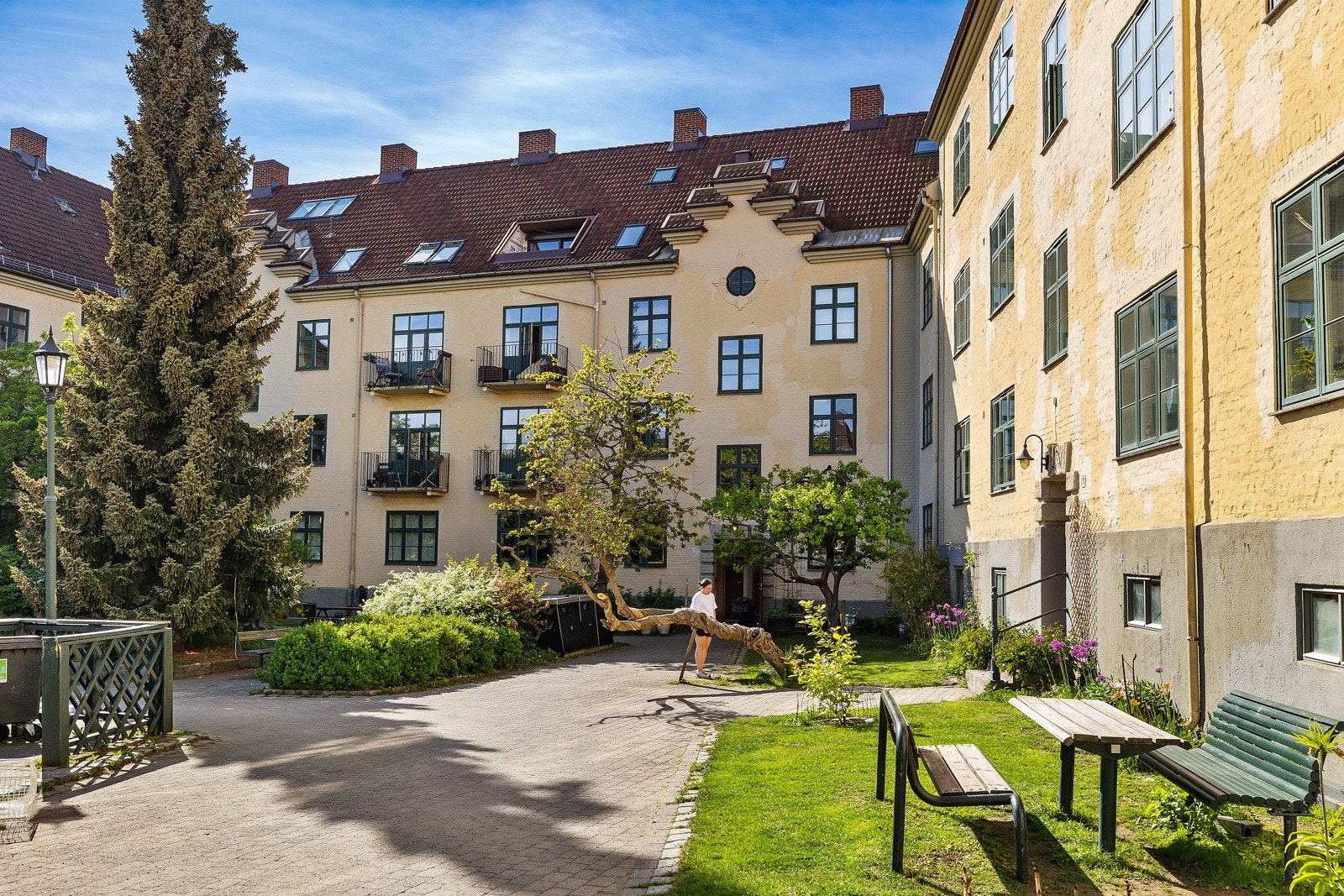 Dette er en av de fineste bakgårdene på Torshov og er et attraktivt sted å bo hvor folk trives godt! Galleribilde