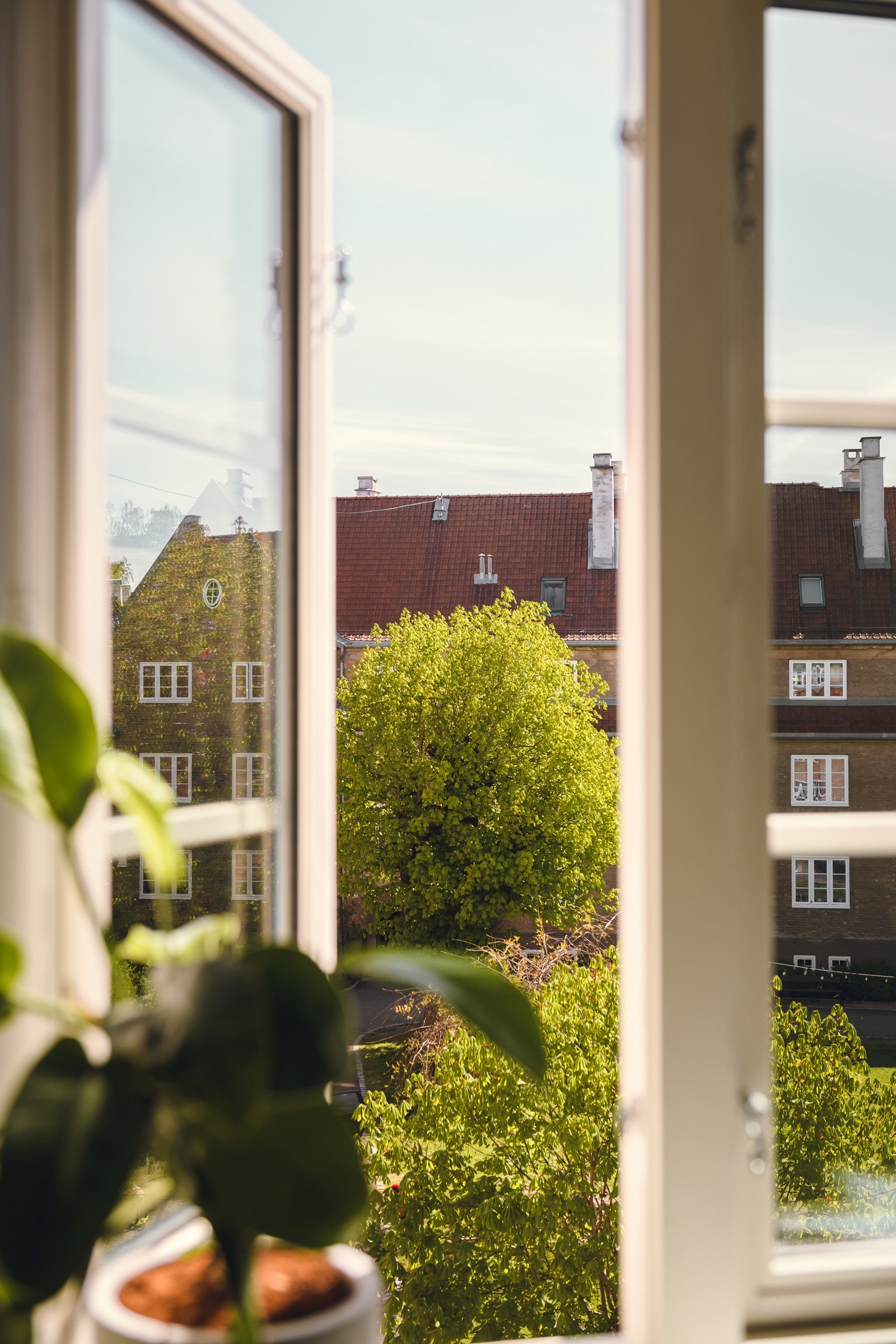 Fra vinduet i dette rommet har du utsyn mot bakgård. Galleribilde